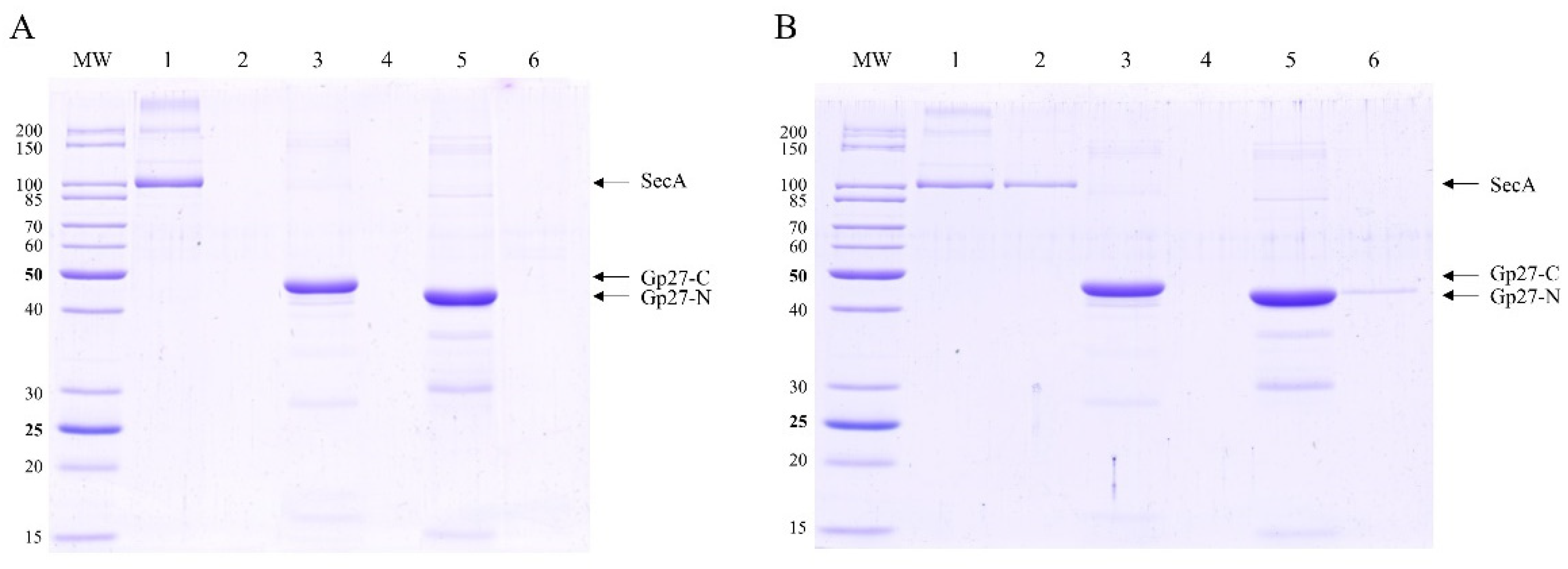 Preprints 97811 g002
