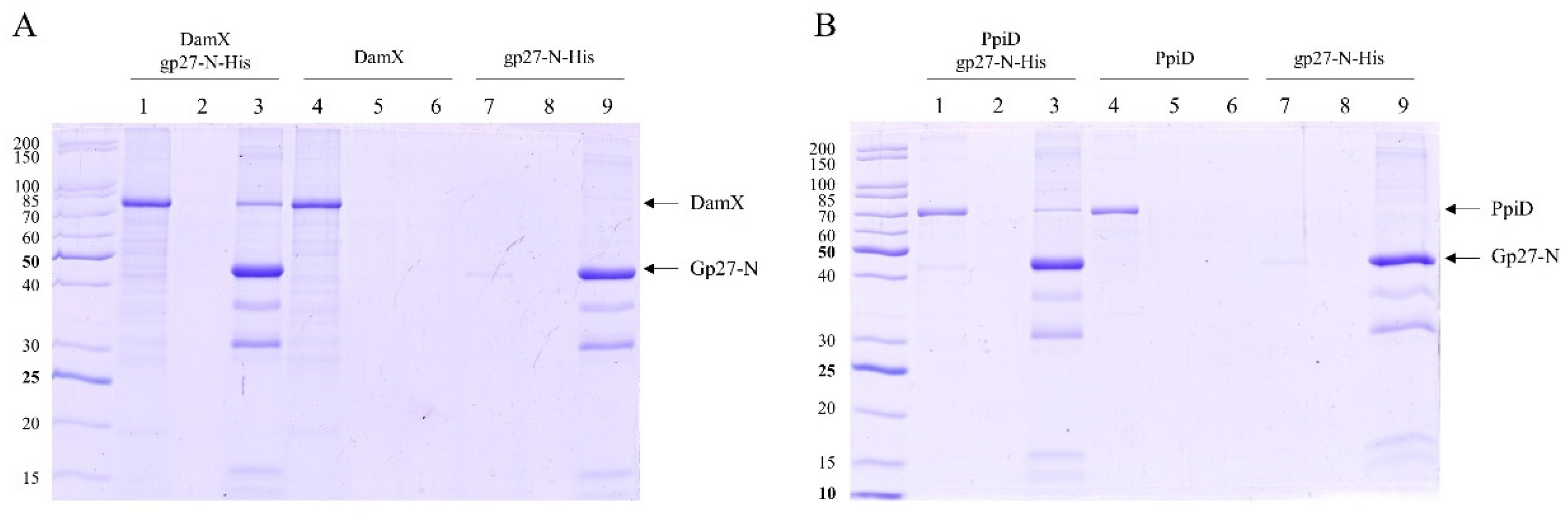 Preprints 97811 g004