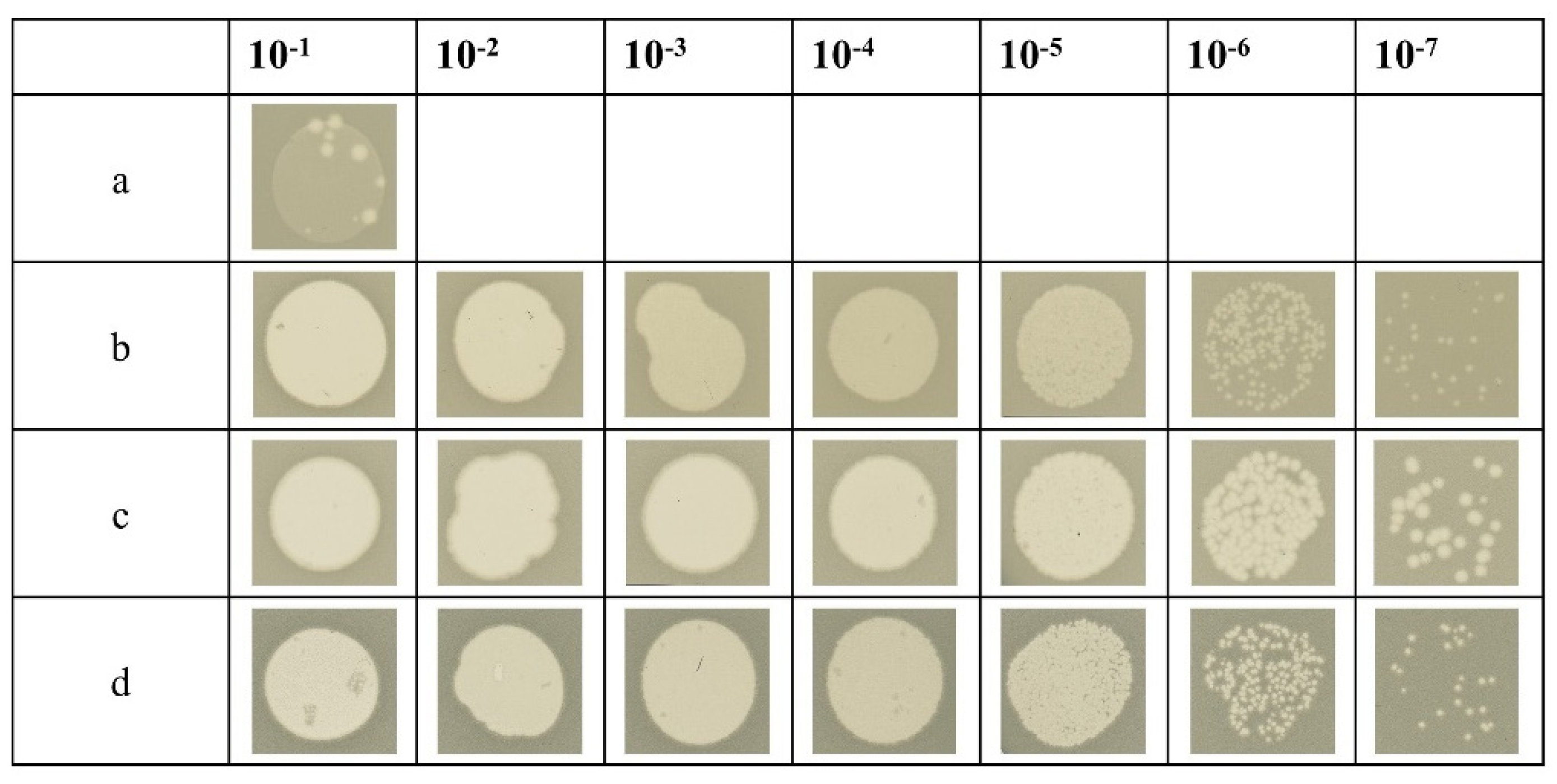 Preprints 97811 g005