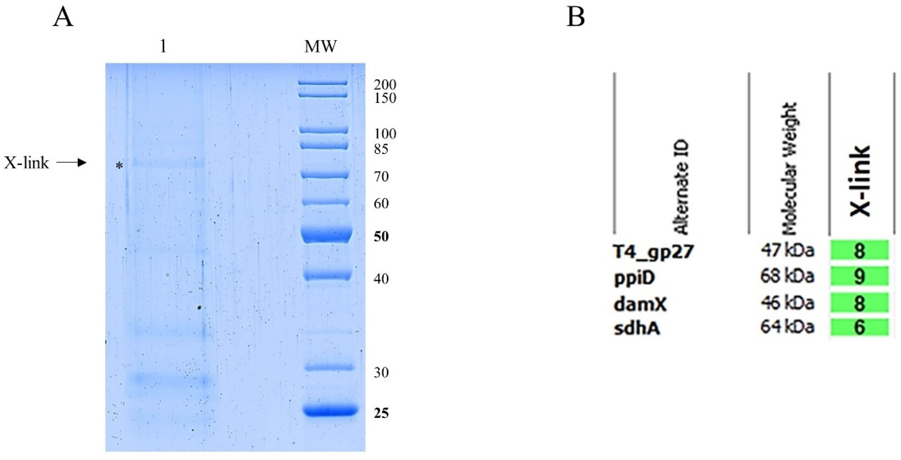 Preprints 97811 g007