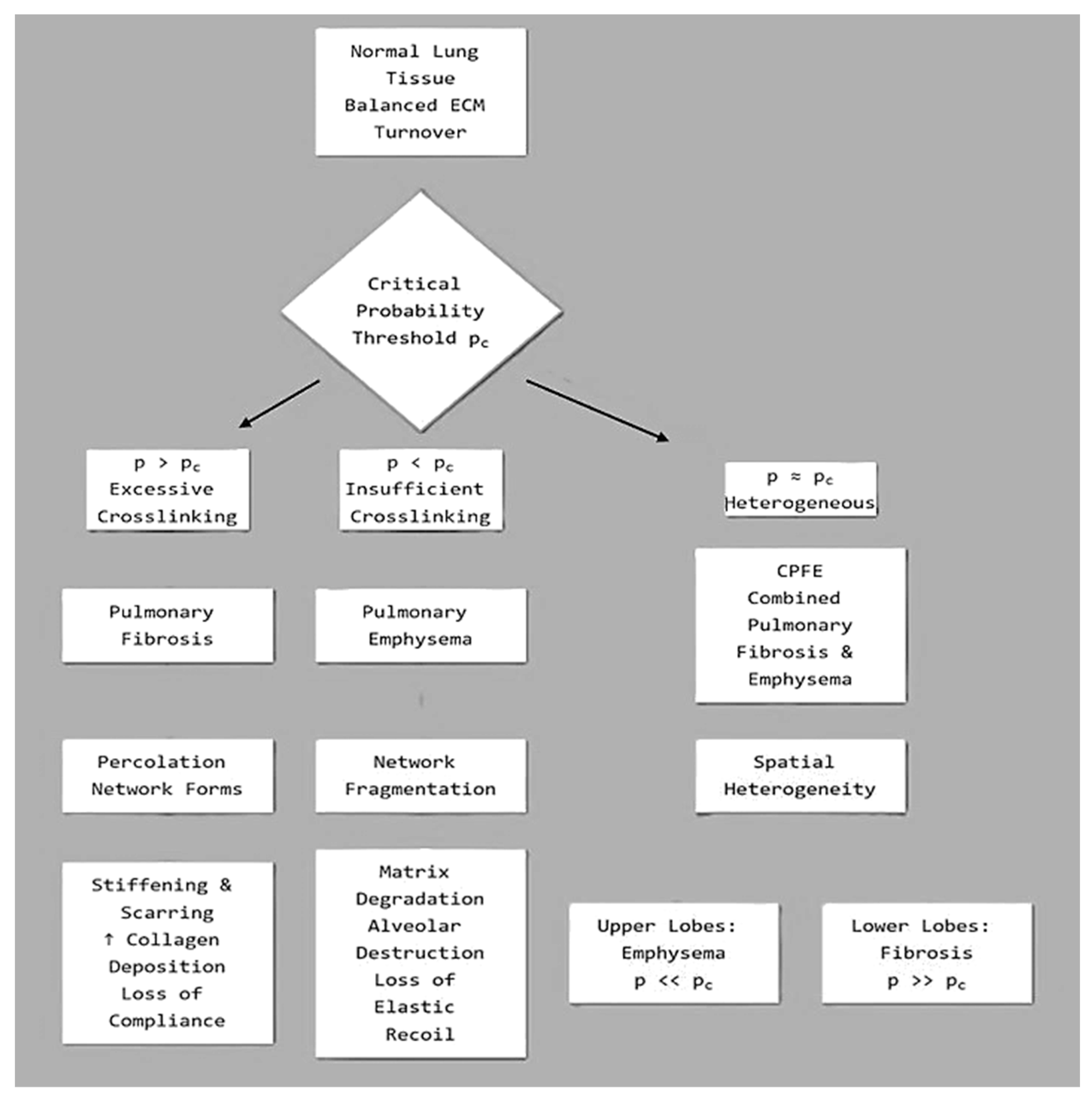 Preprints 190603 g004