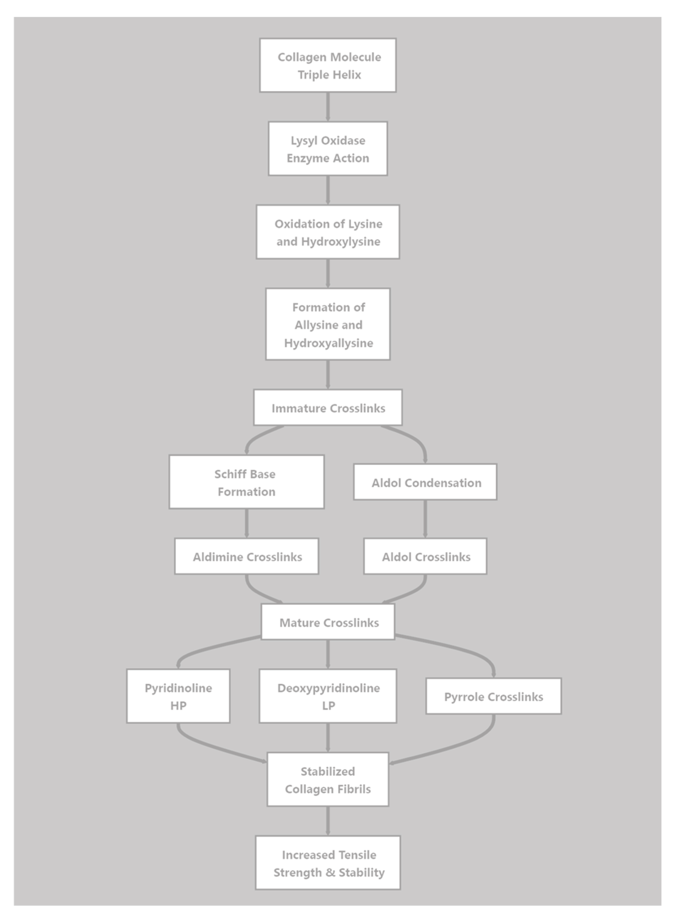 Preprints 190603 g005