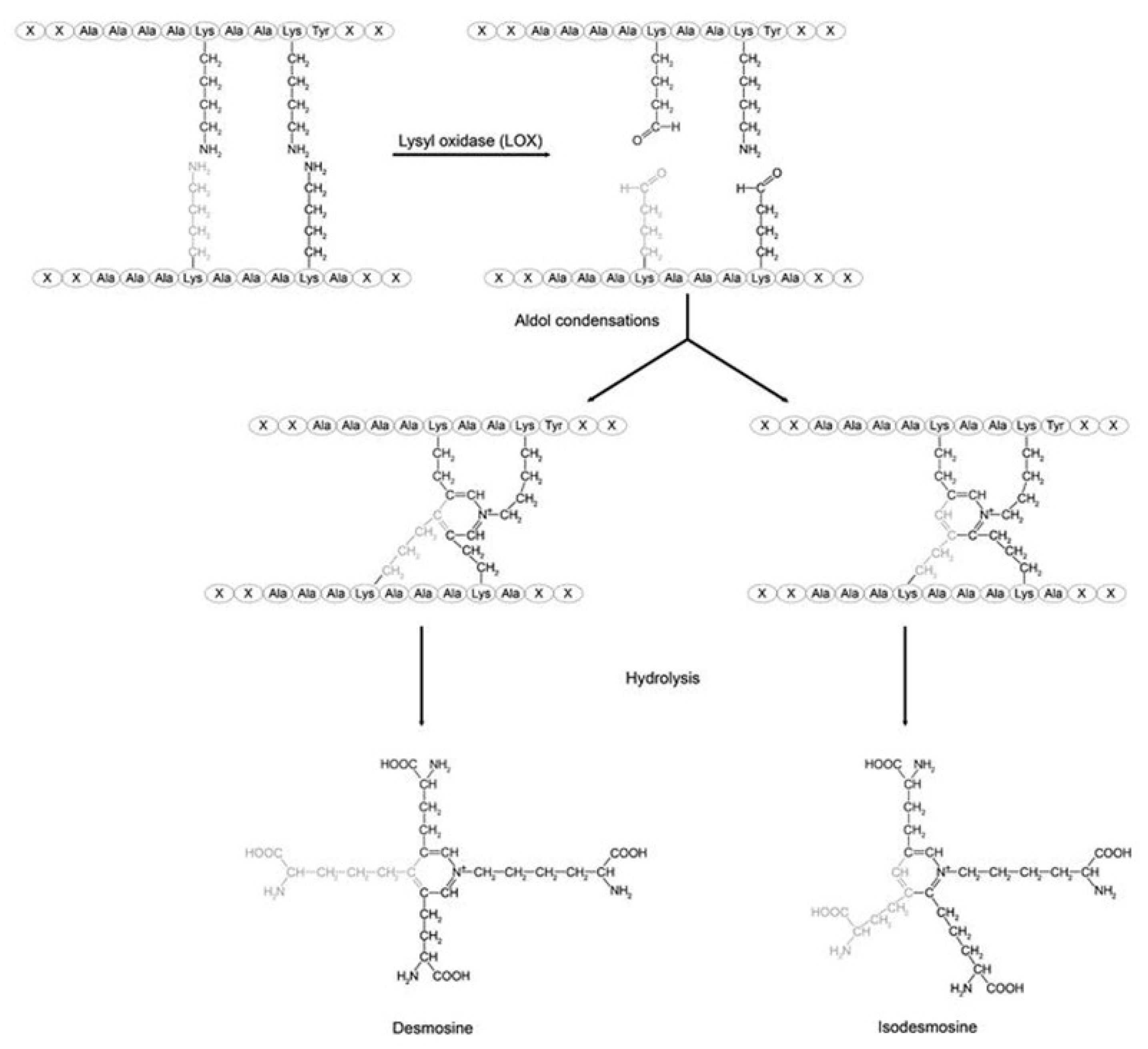 Preprints 190603 g006