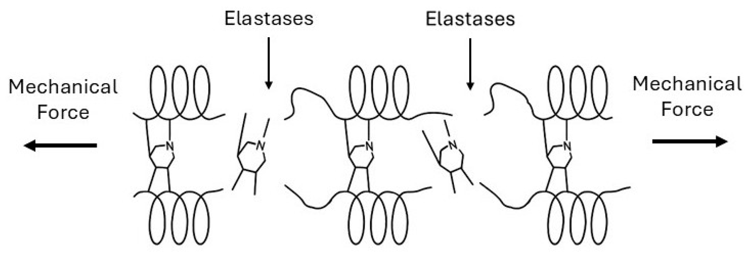 Preprints 190603 g007