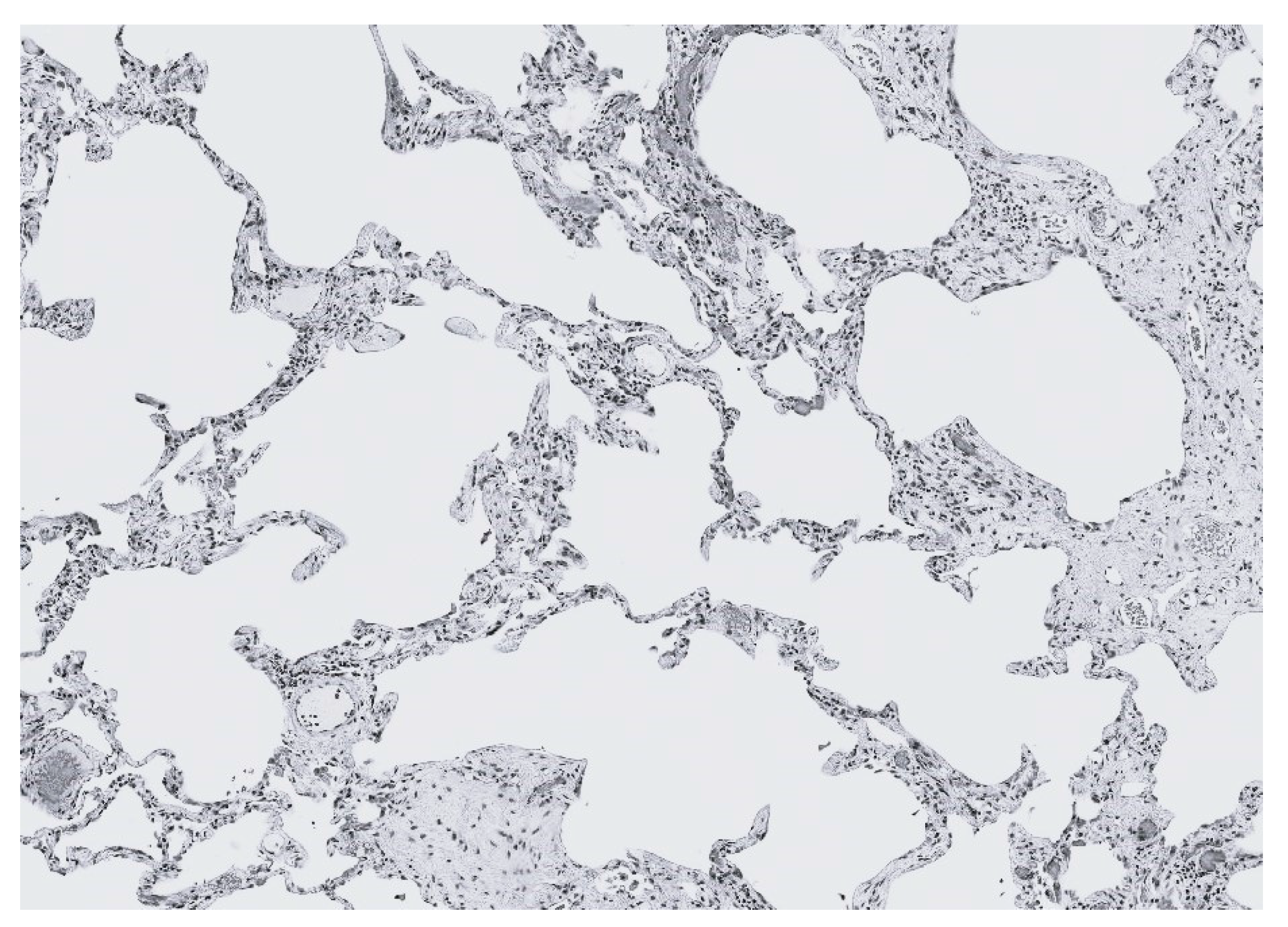 Preprints 190603 g008