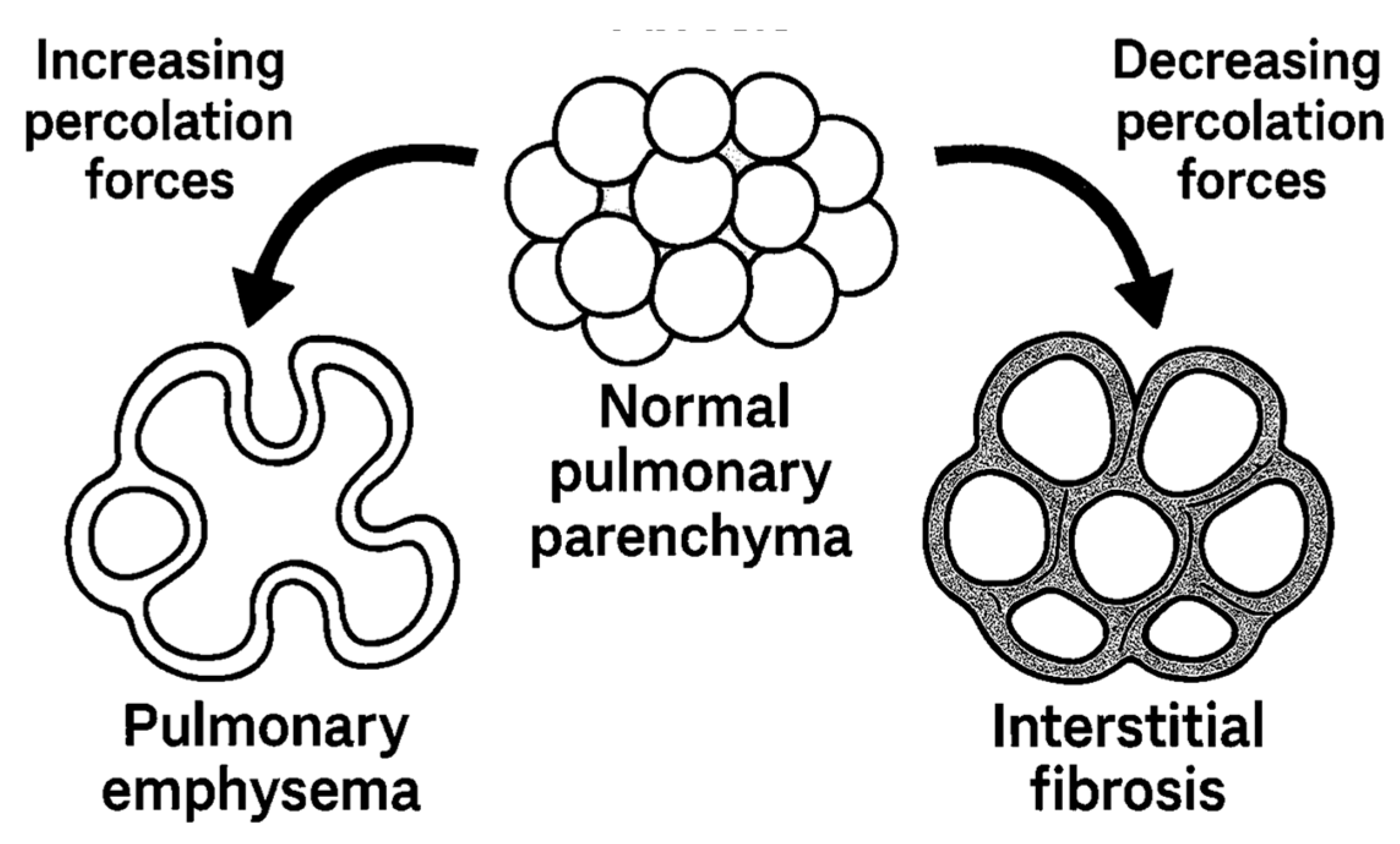 Preprints 190603 g009