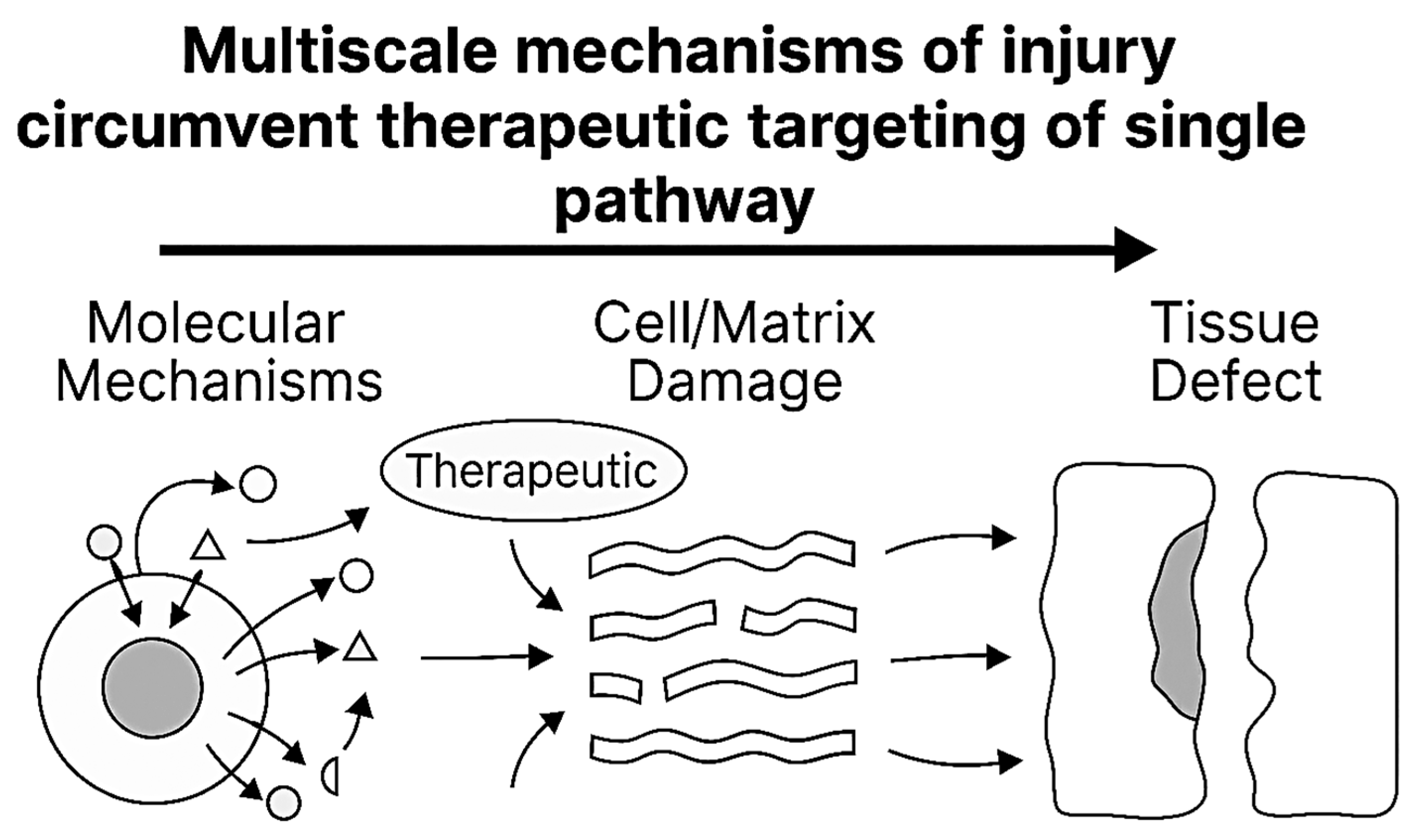 Preprints 190603 g010