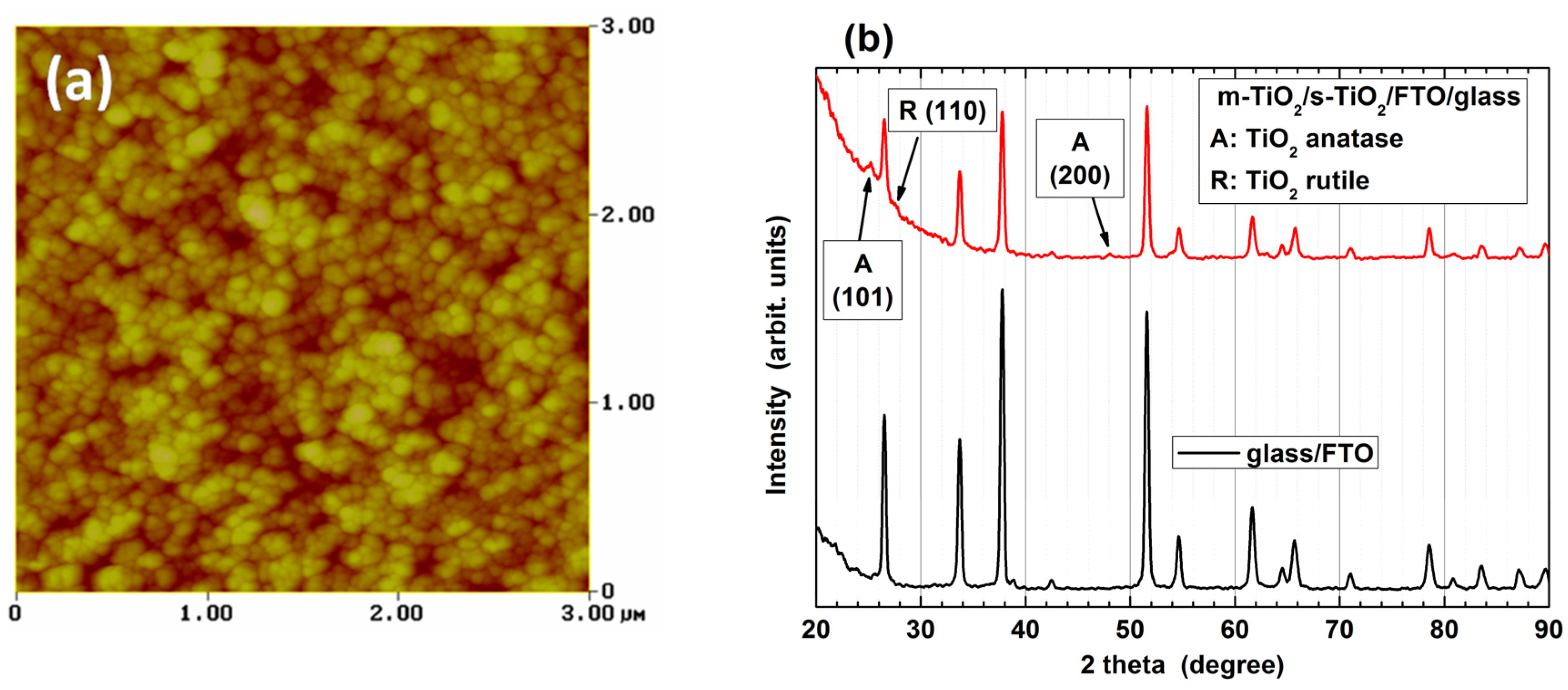 Preprints 181321 g003
