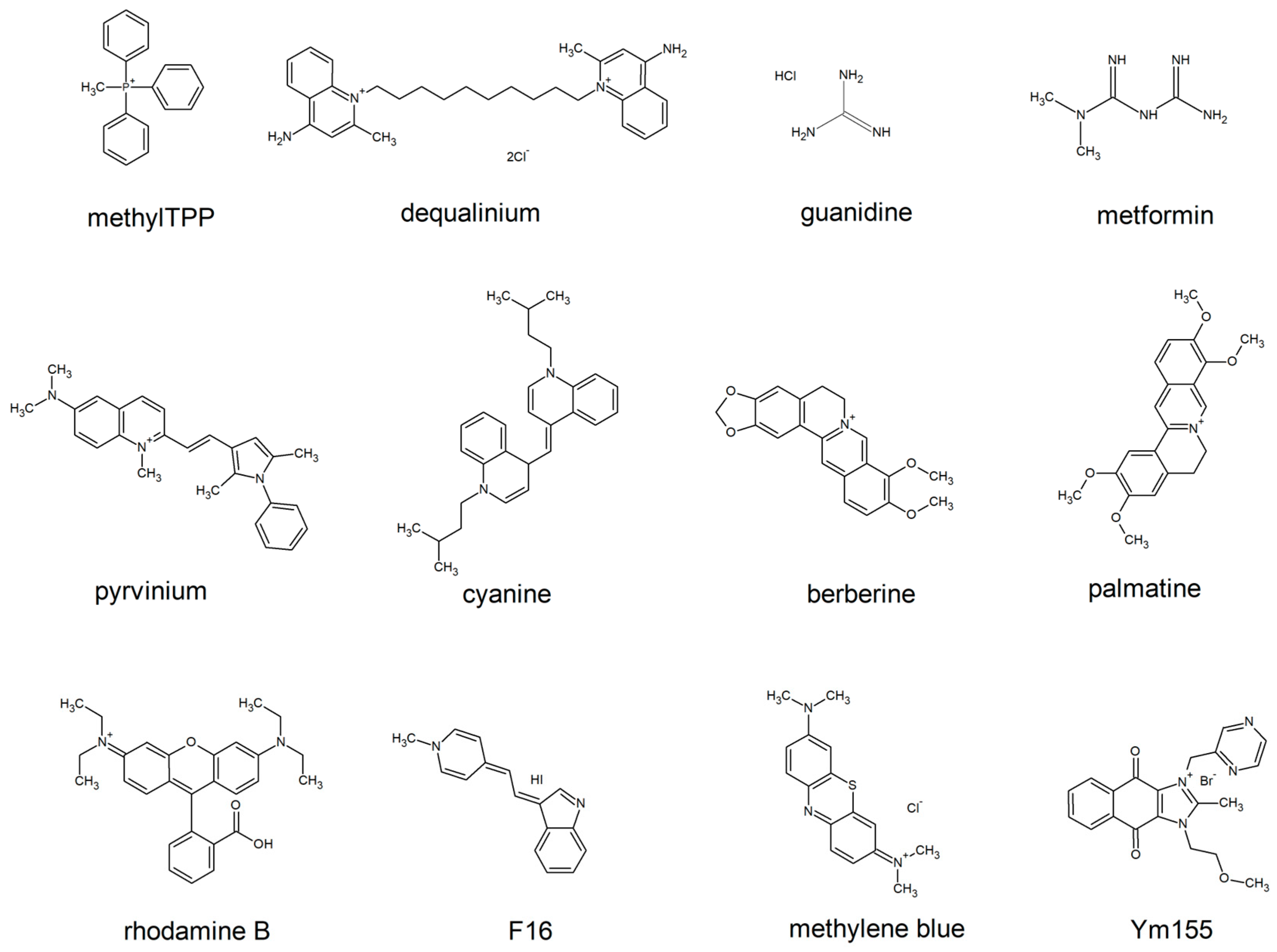 Preprints 83130 g001