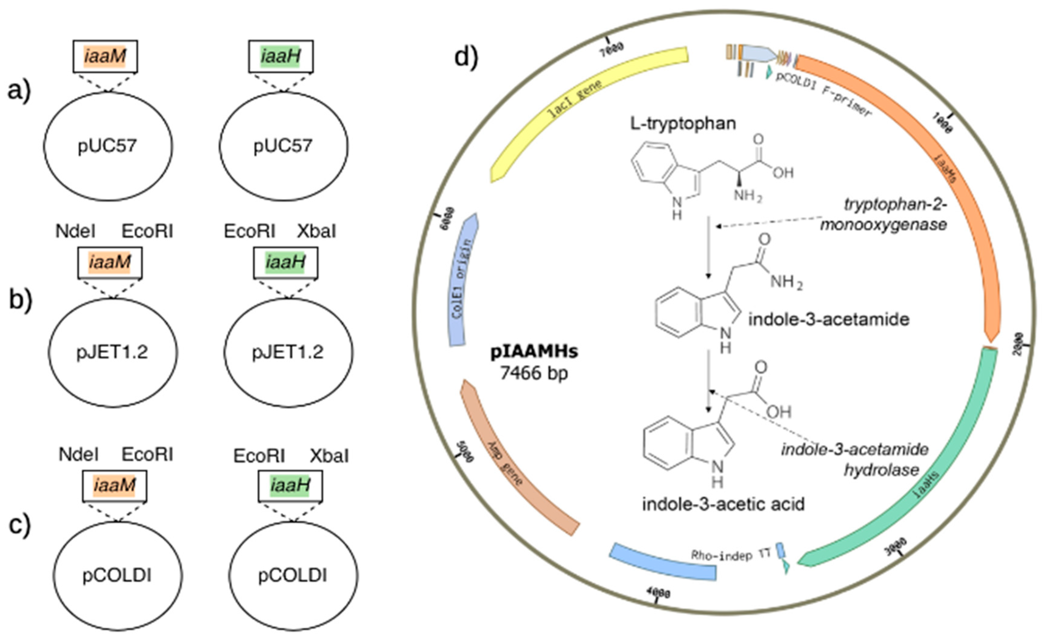 Preprints 205191 g002
