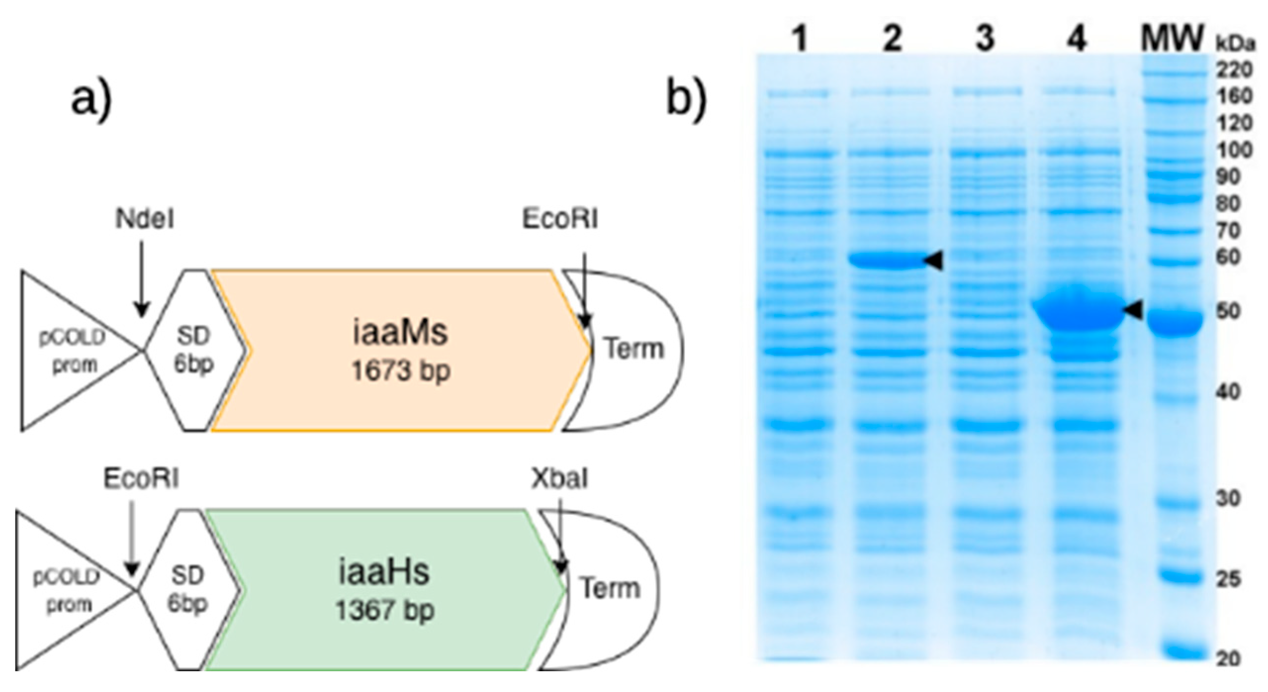 Preprints 205191 g003