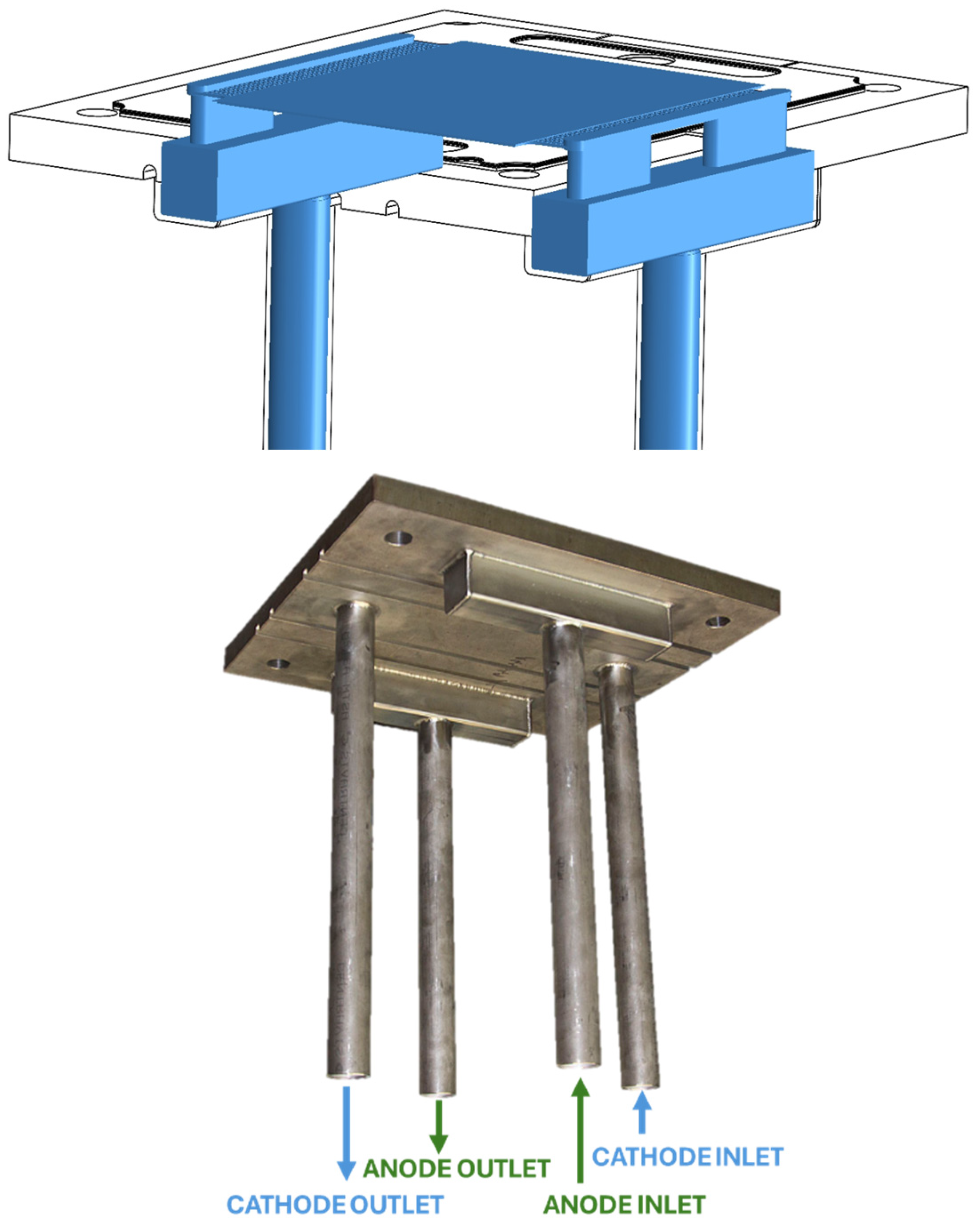 Preprints 144373 g010
