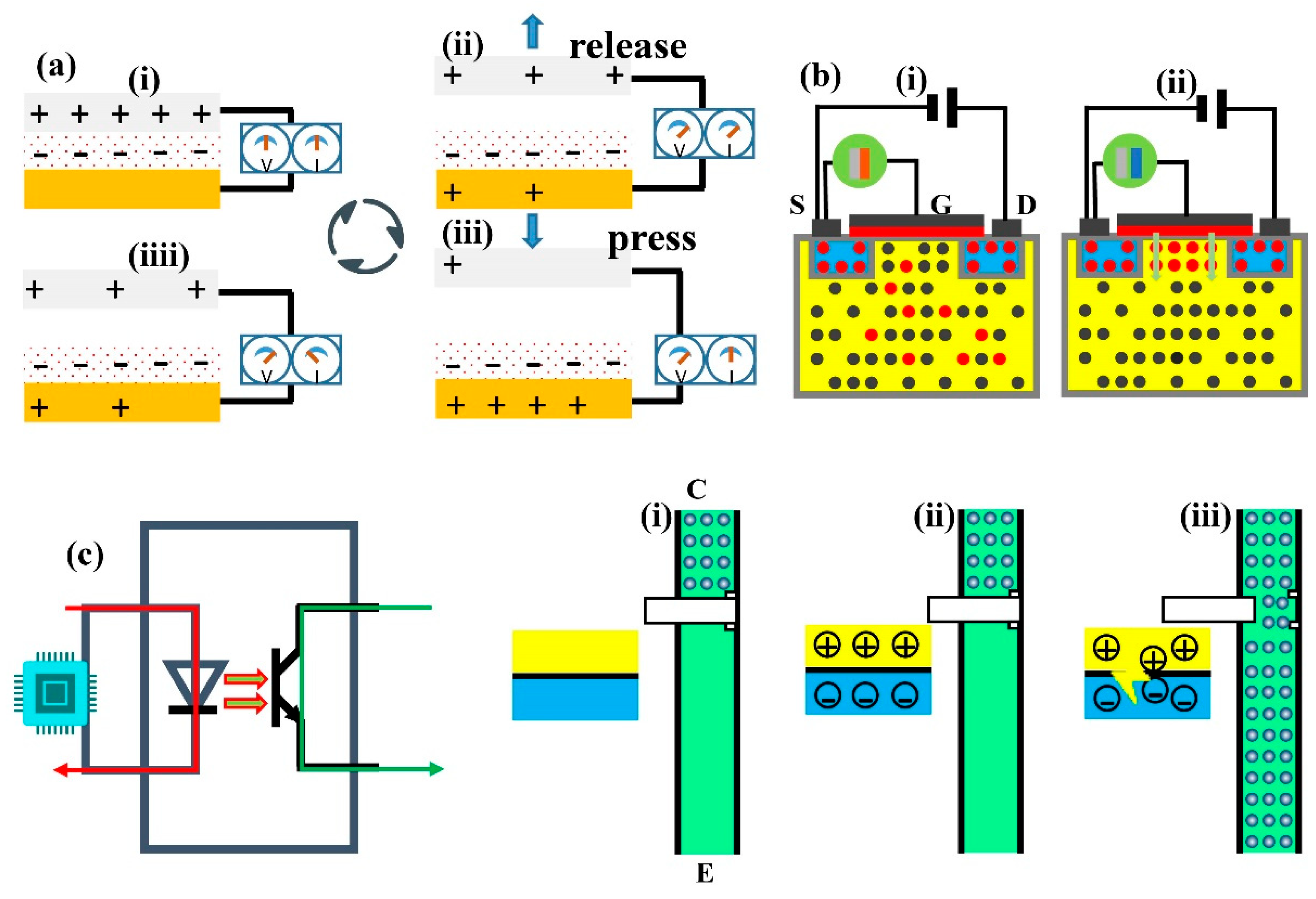 Preprints 193093 g002