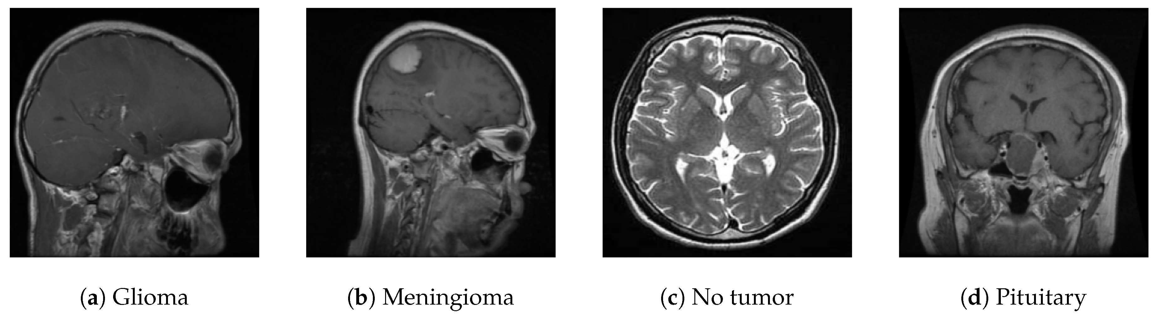 Preprints 144857 g011