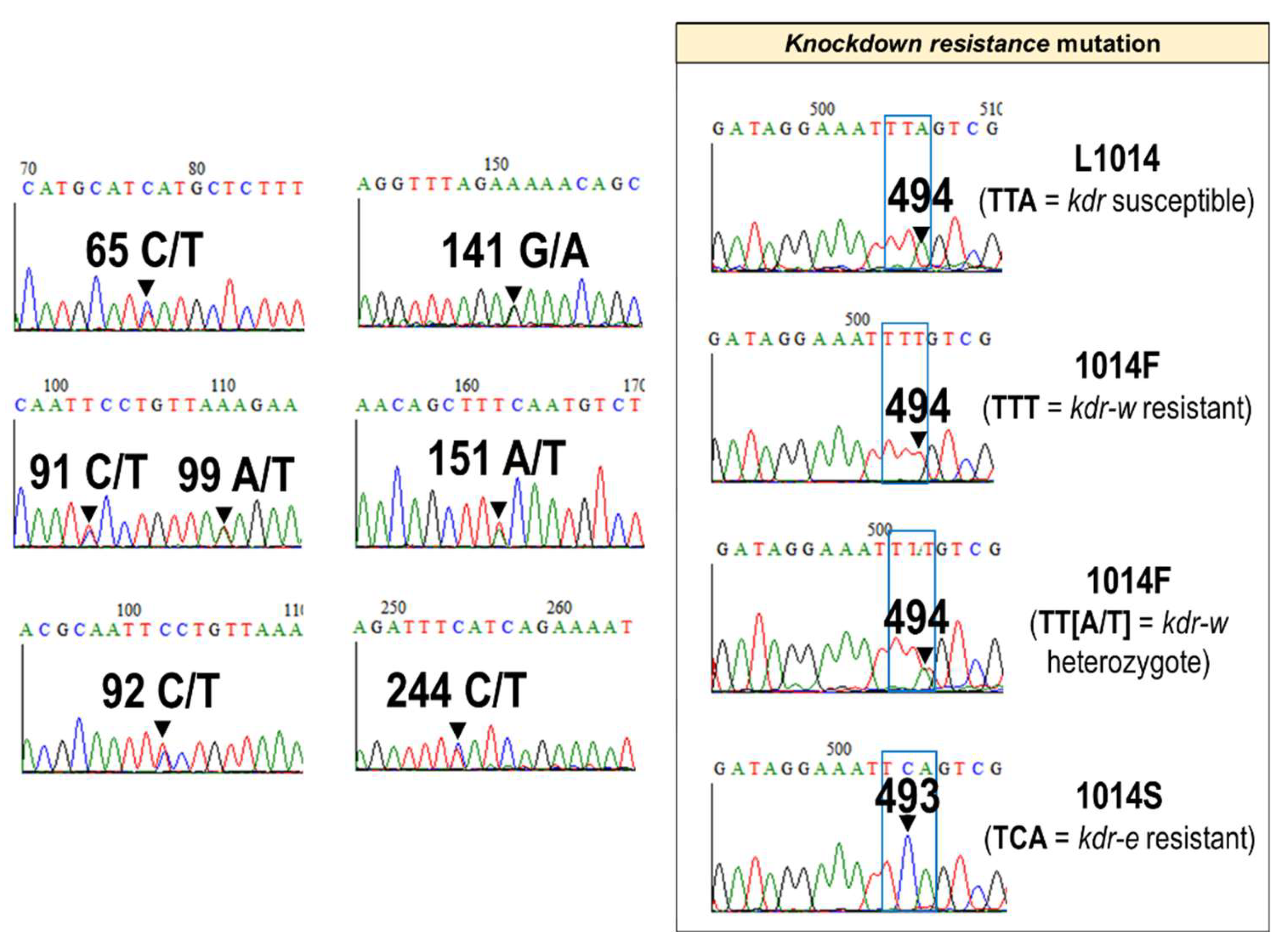 Preprints 179112 g004