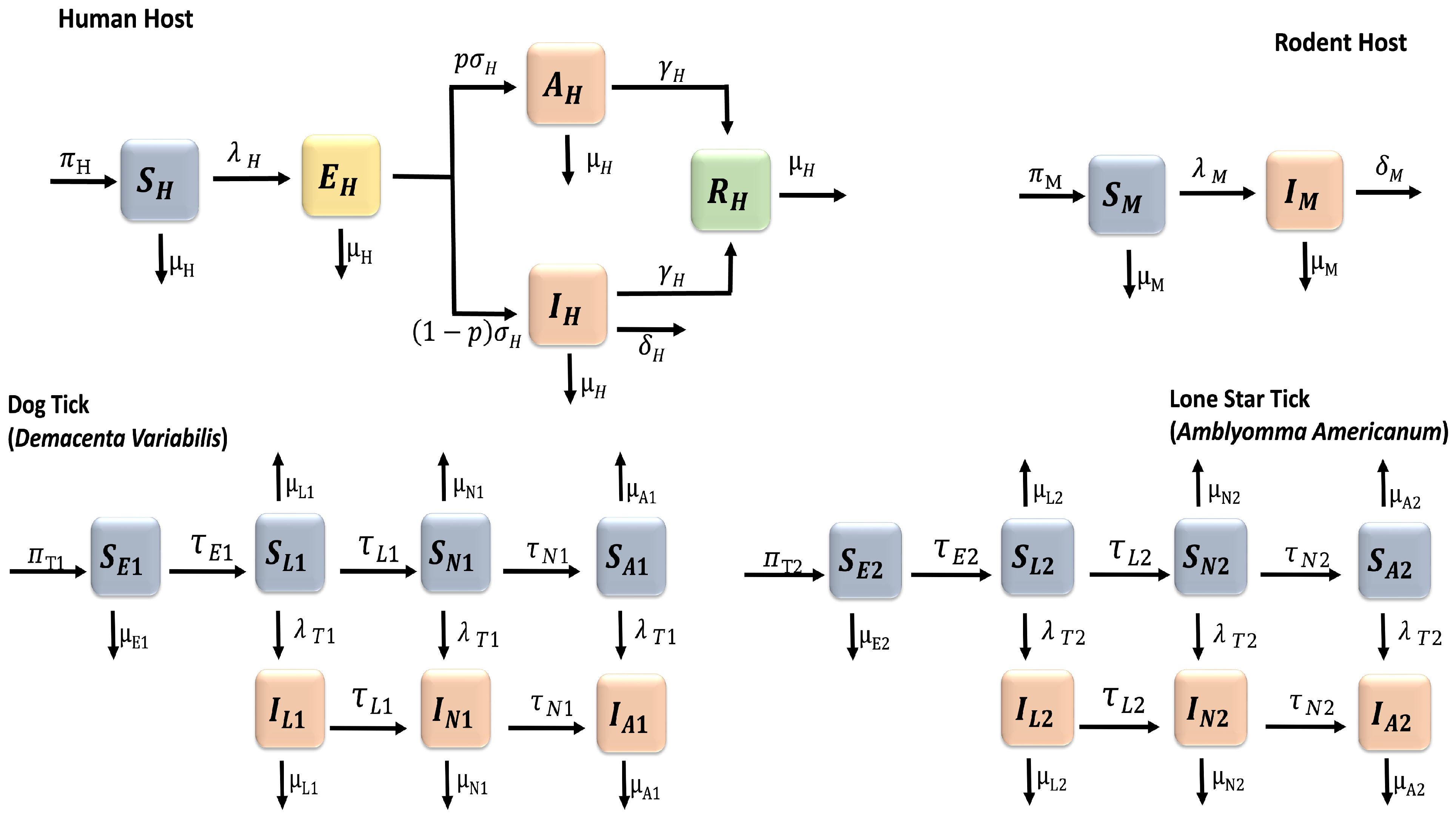 Preprints 95132 g001