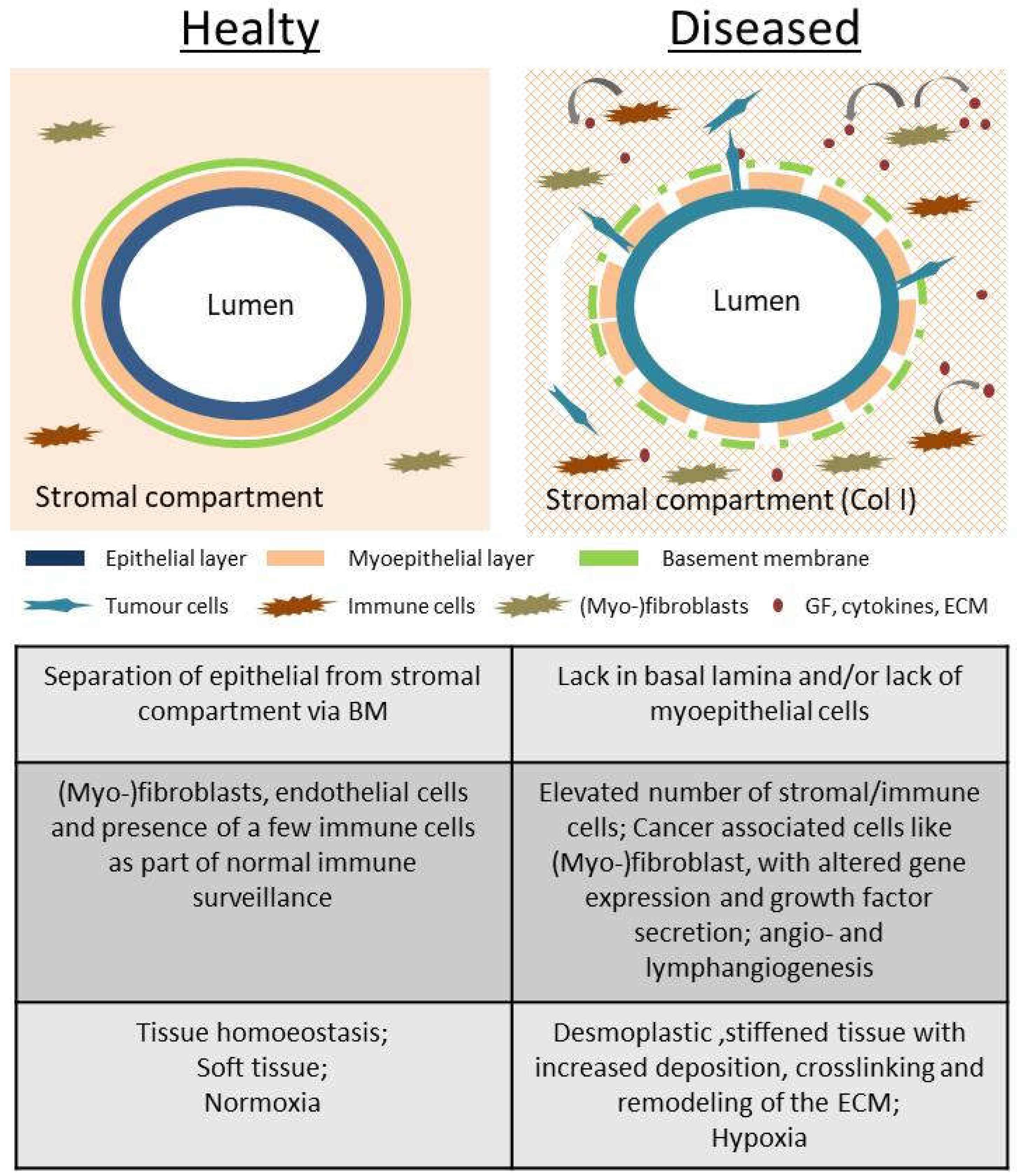 Preprints 69537 g001