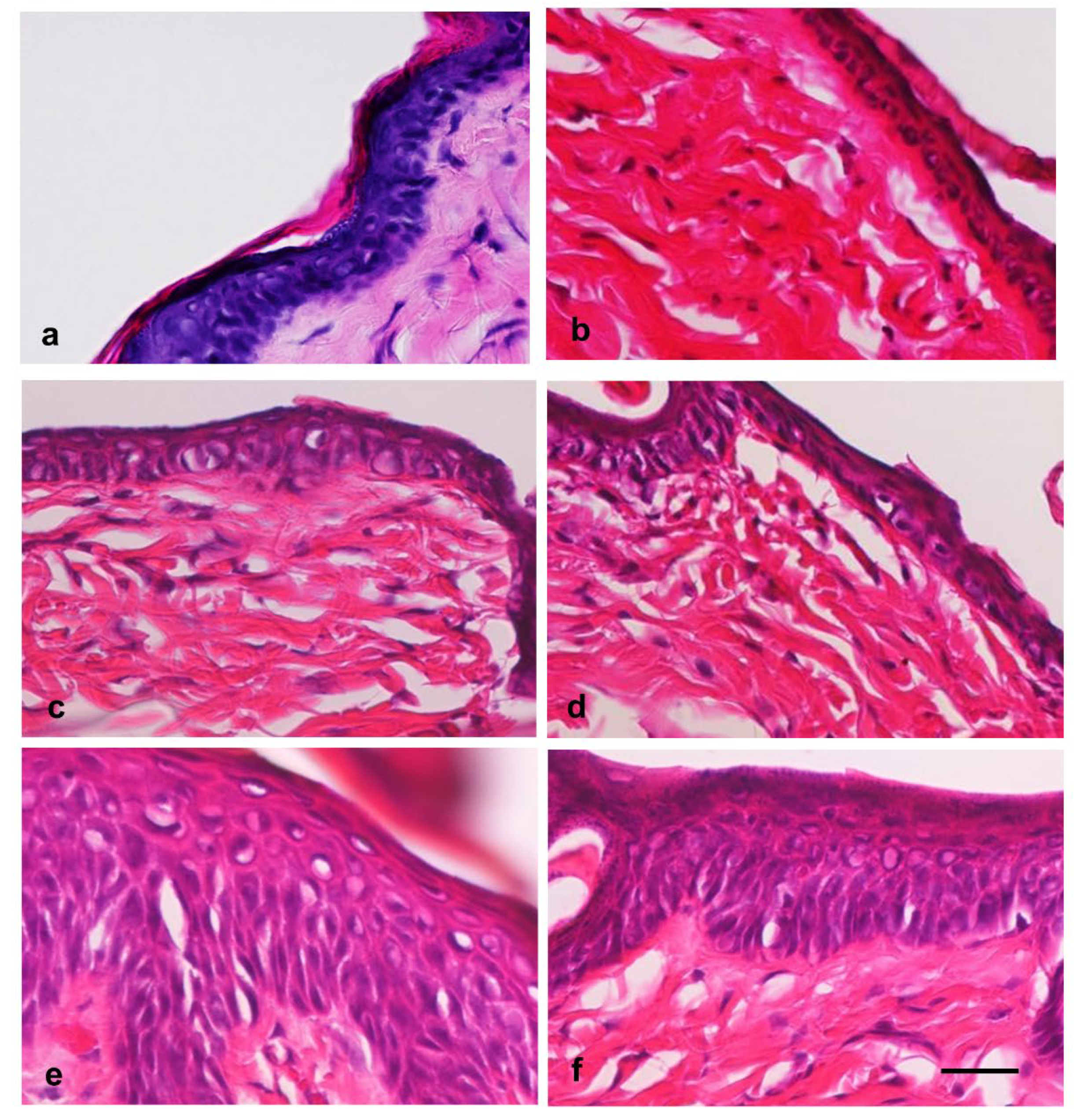 Preprints 174098 g002