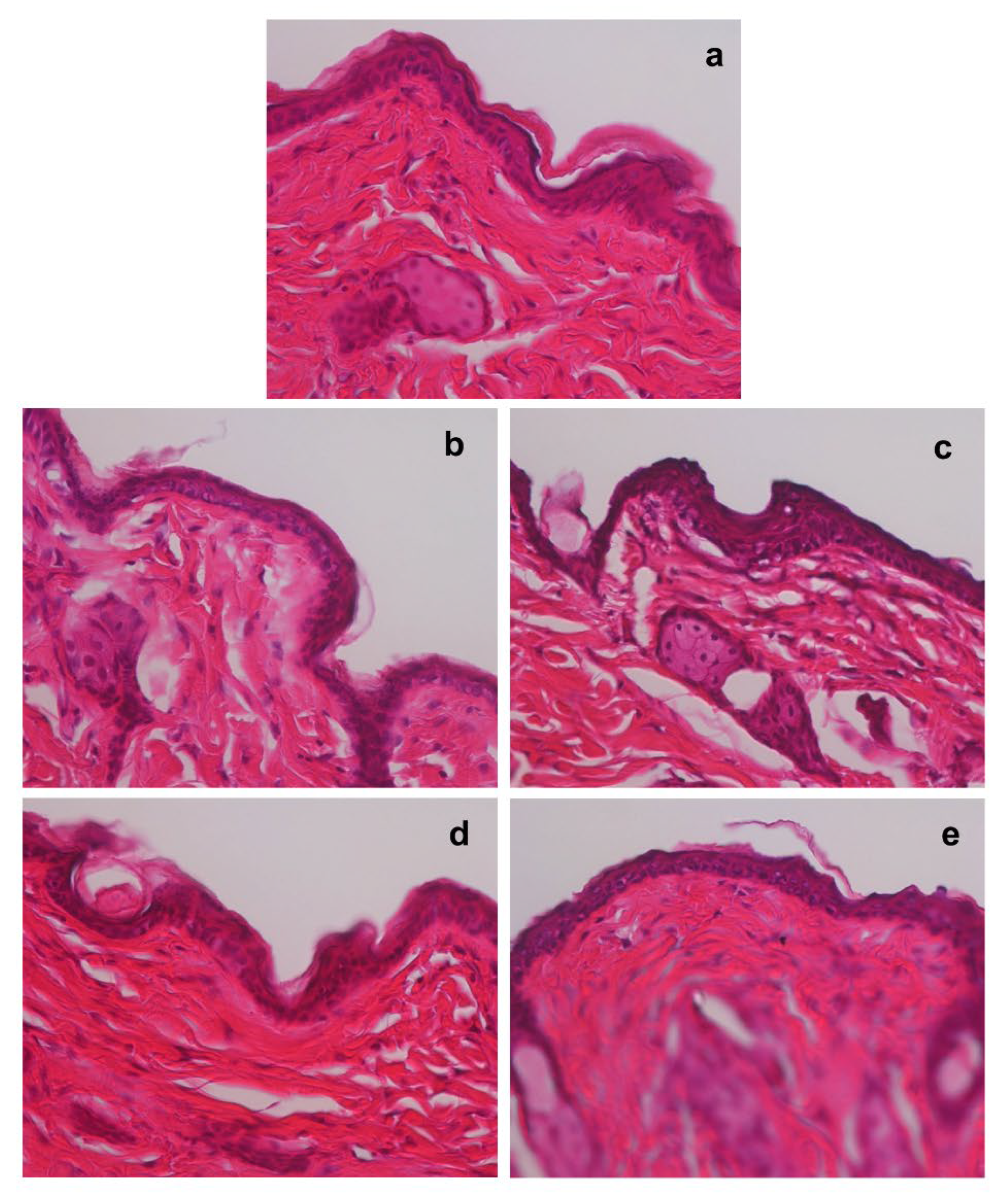 Preprints 174098 g003