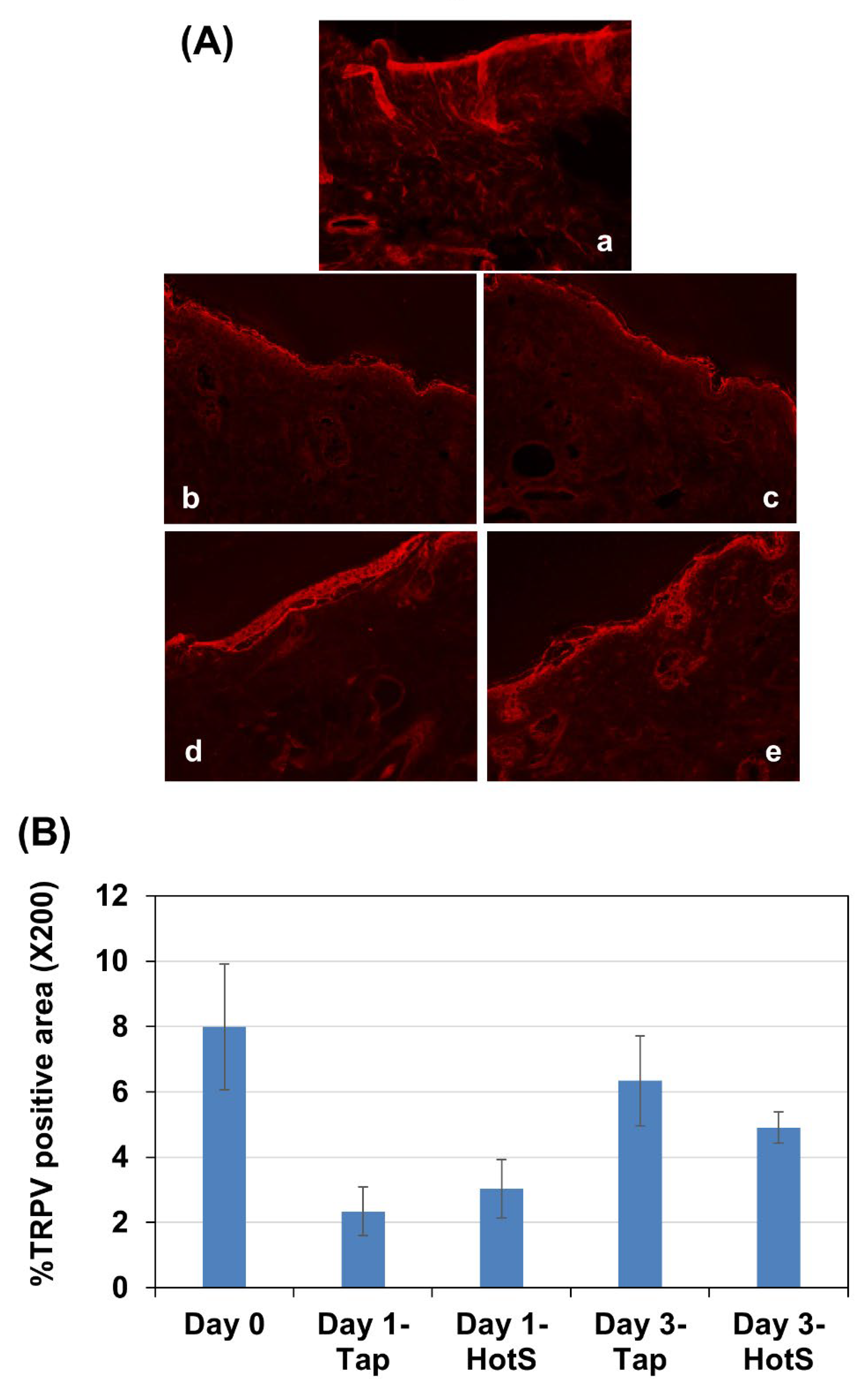 Preprints 174098 g004