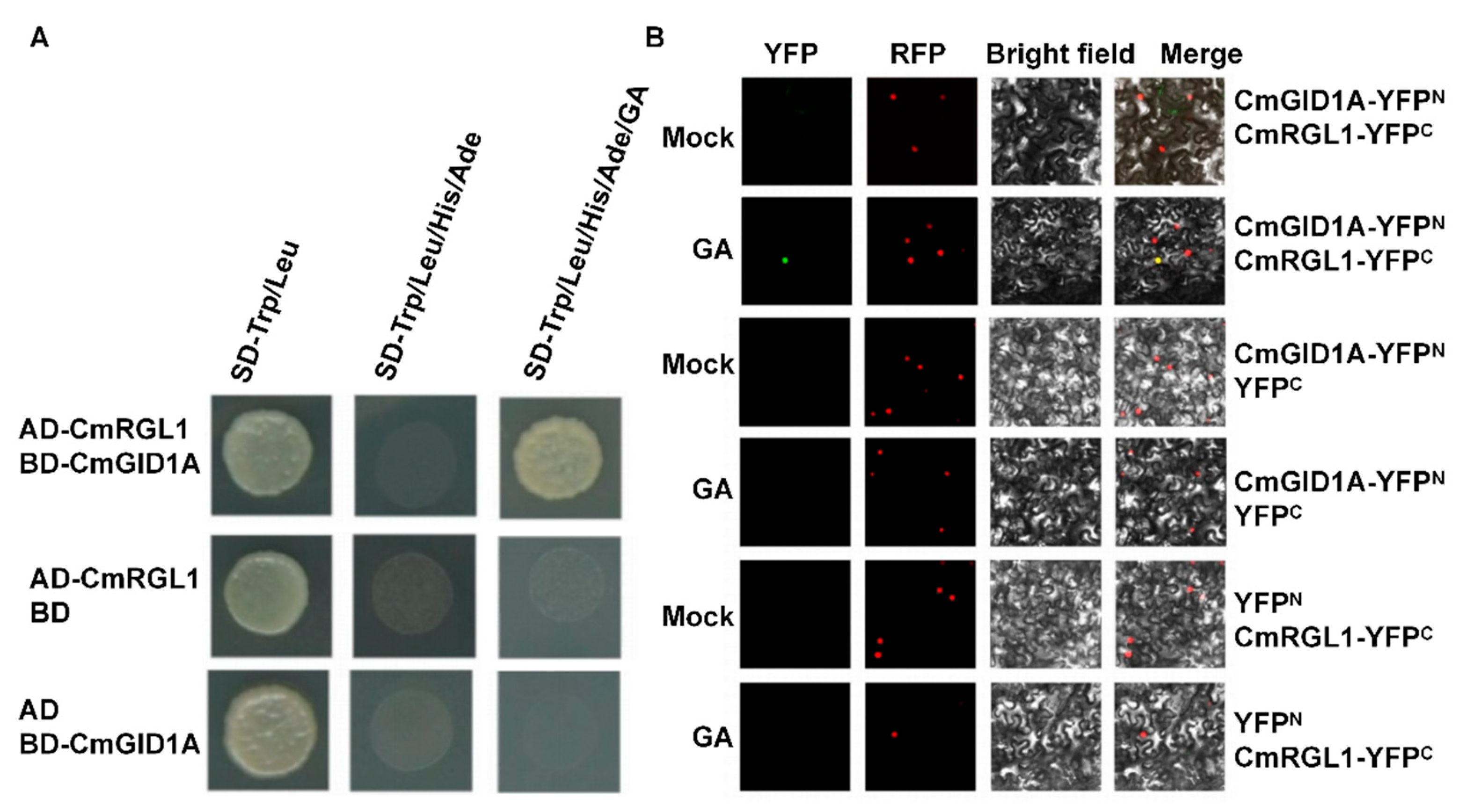 Preprints 210568 g003 Preprints 210568 g003