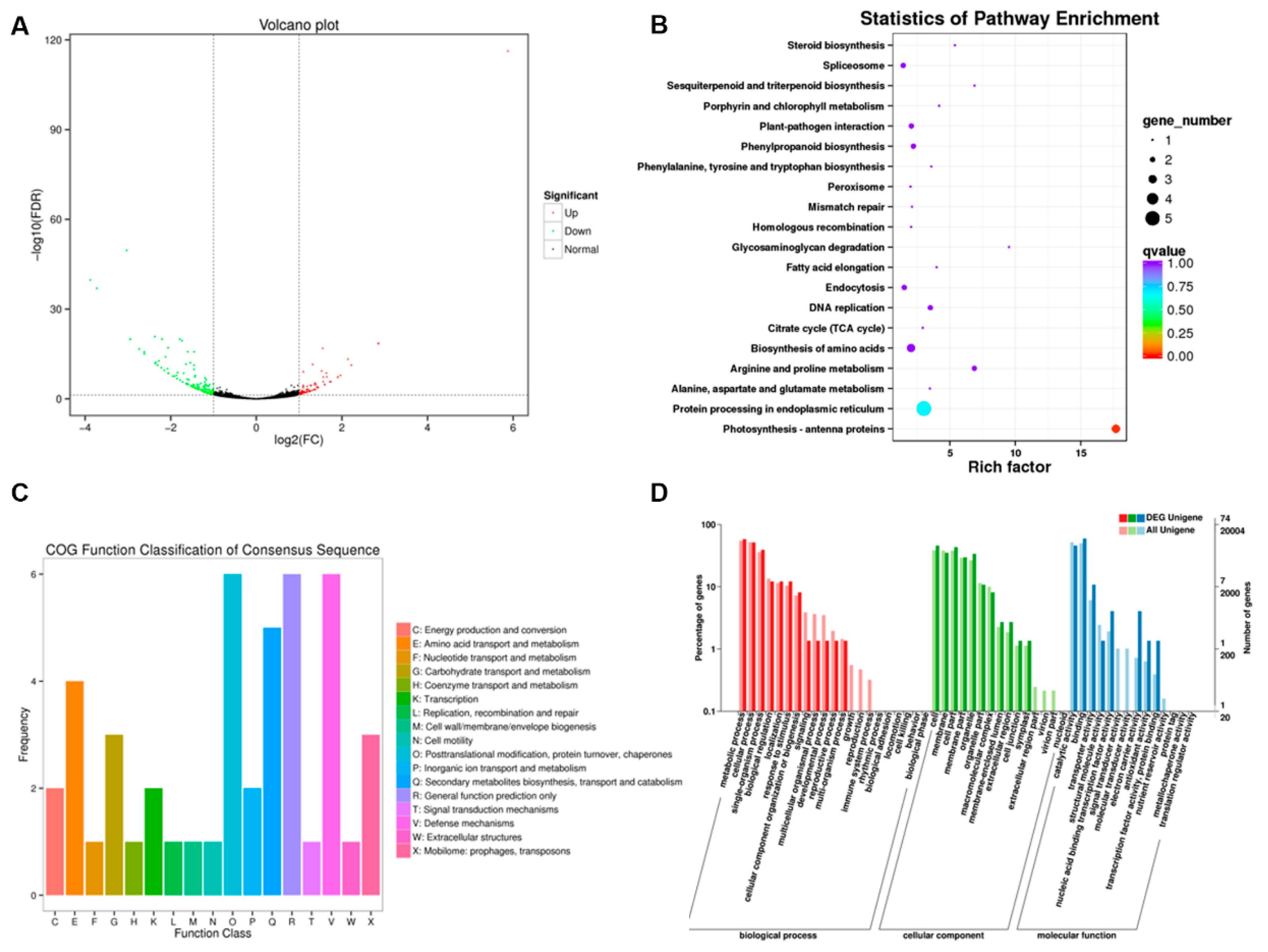 Preprints 210568 g004 Preprints 210568 g004