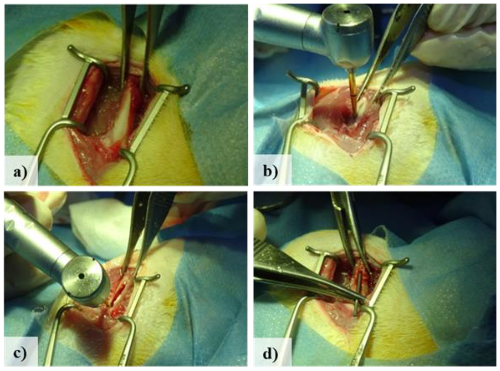Preprints 140784 g001