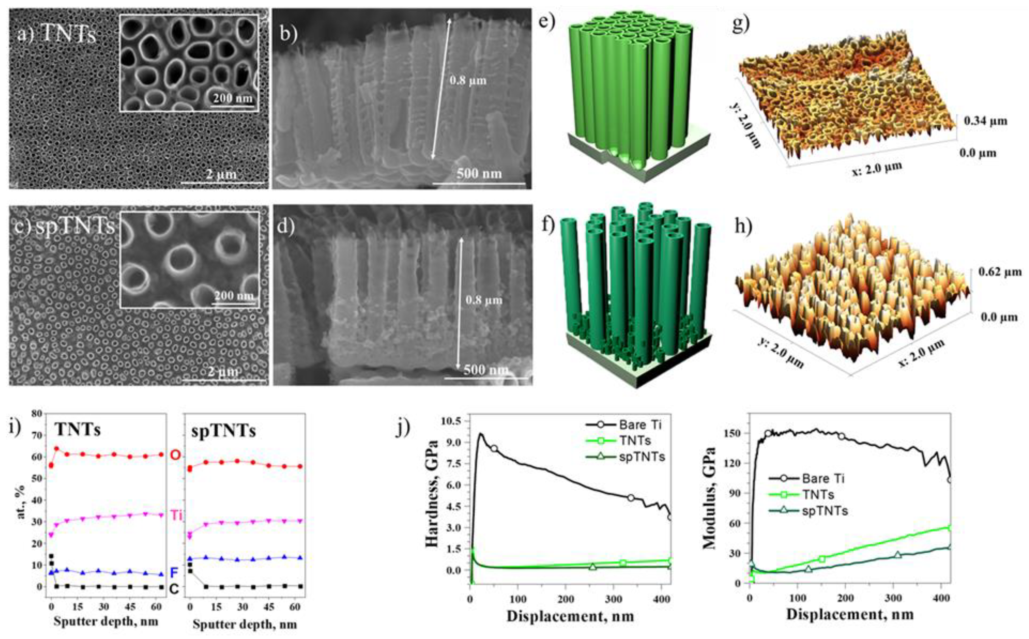Preprints 140784 g003