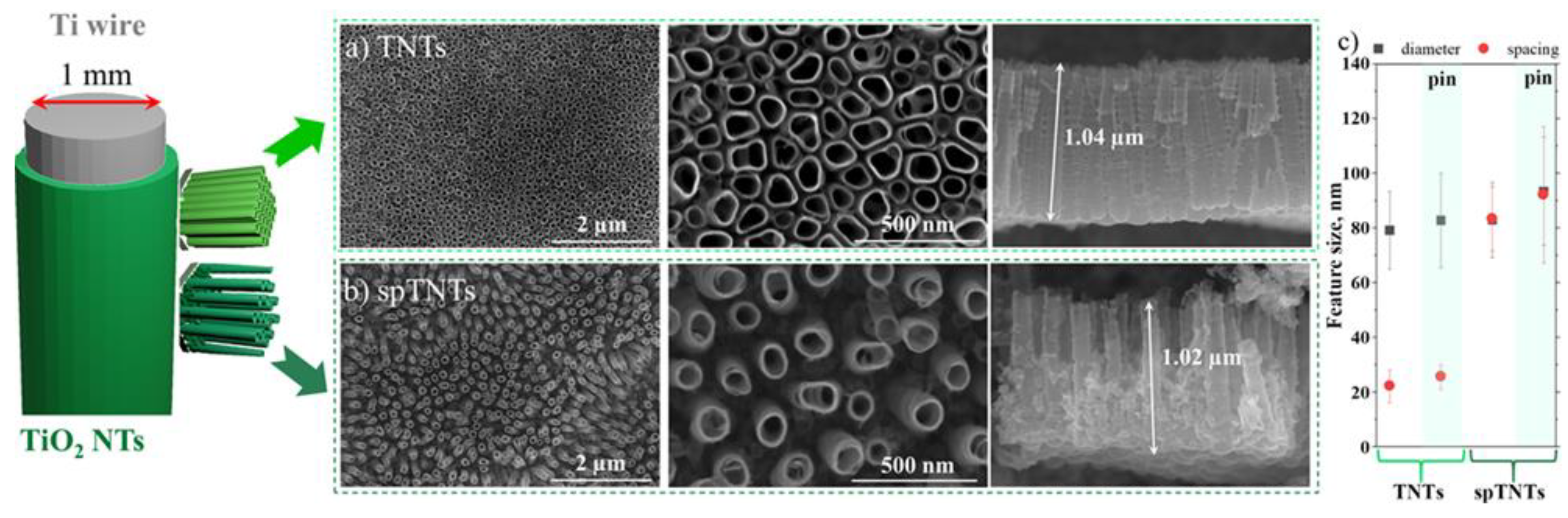 Preprints 140784 g004