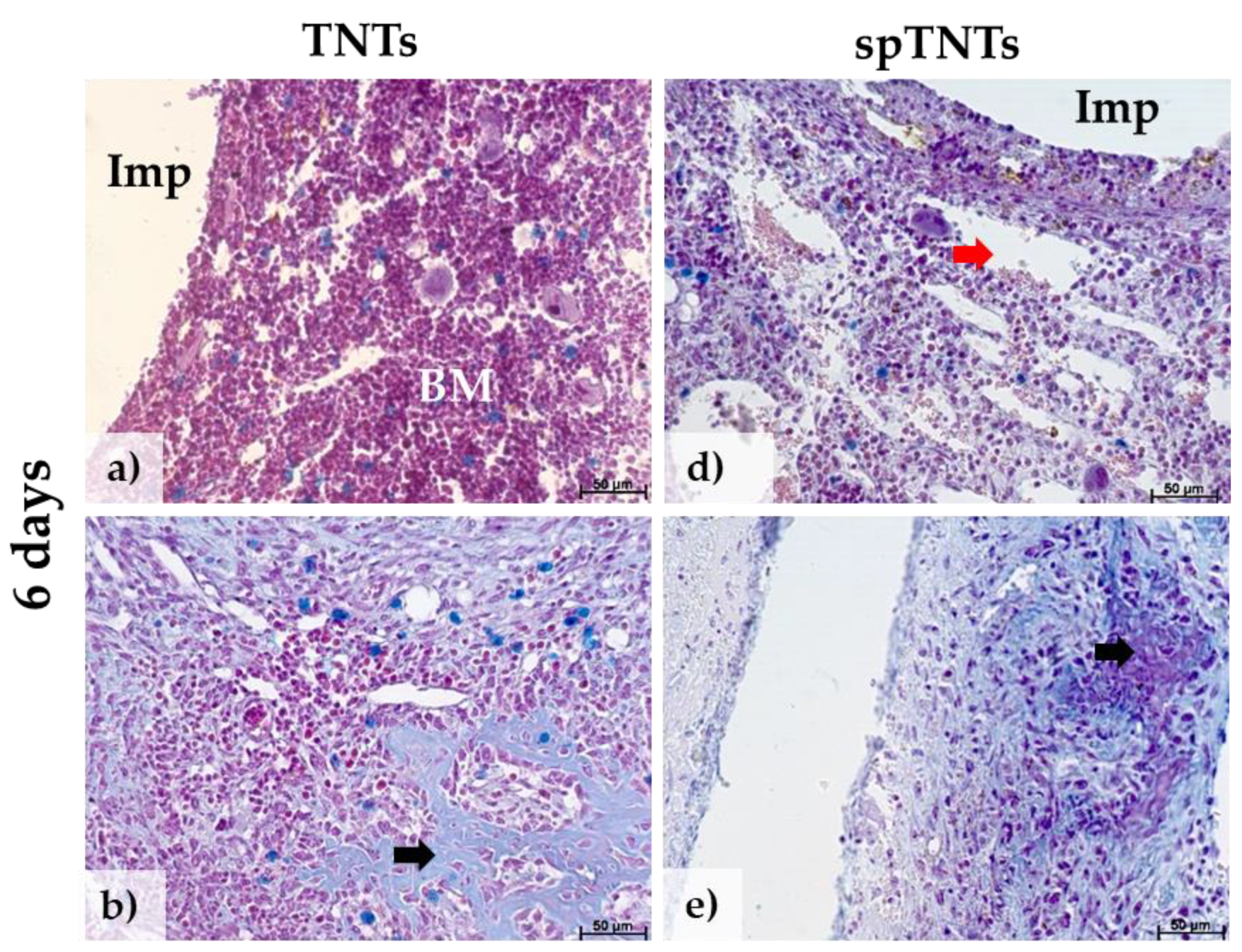Preprints 140784 g005