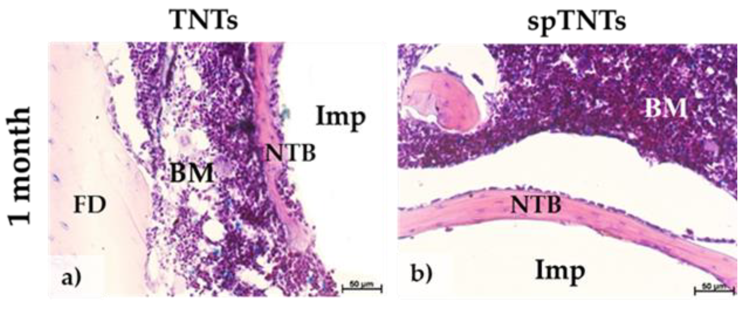 Preprints 140784 g006