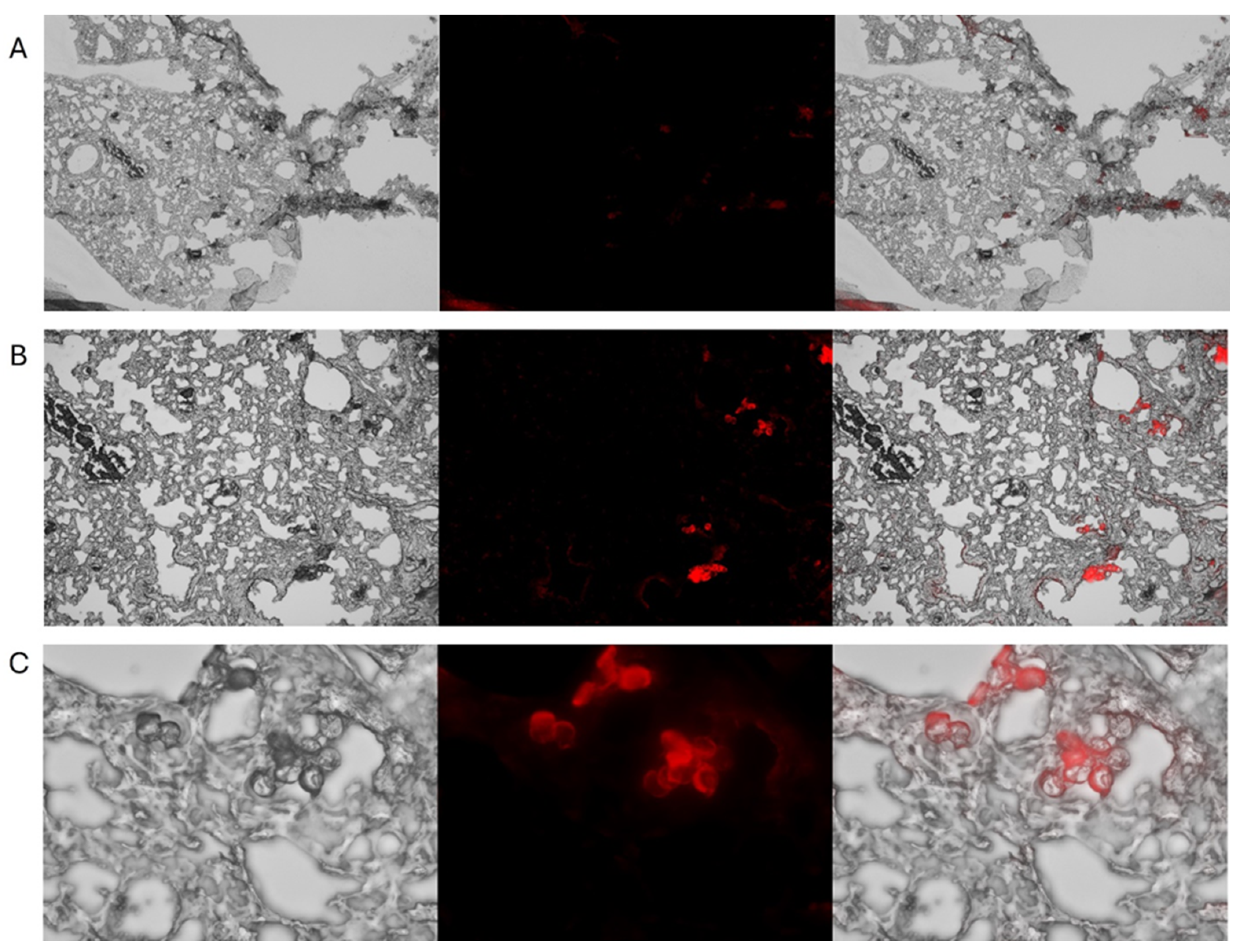 Preprints 178808 g003