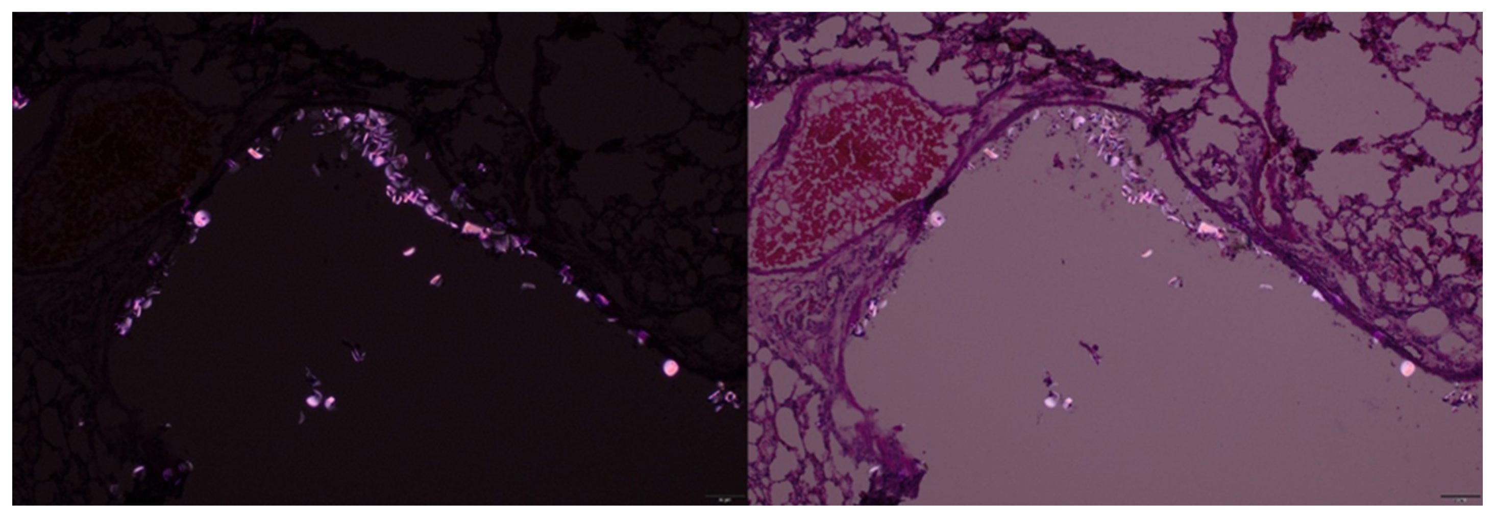 Preprints 178808 g004