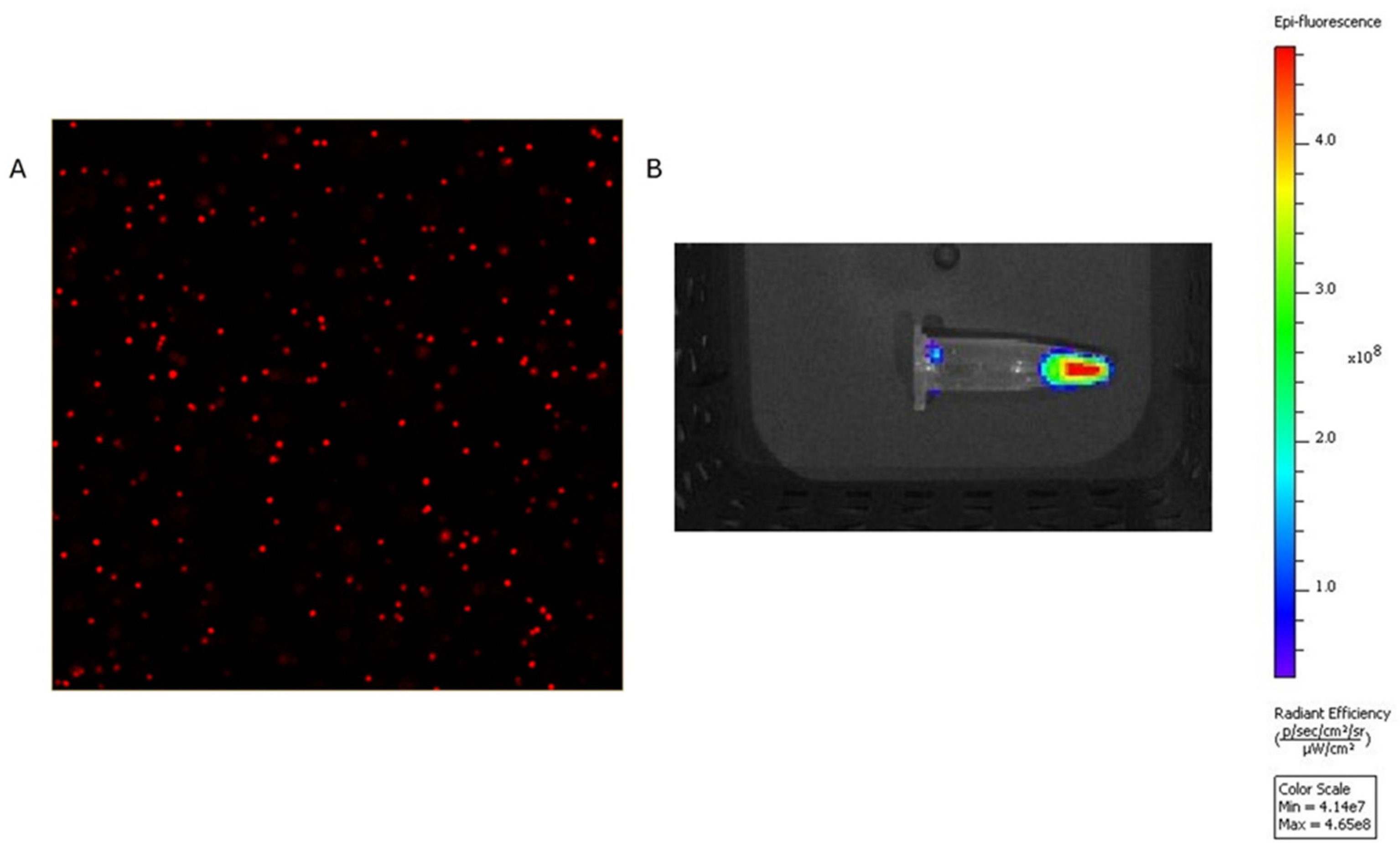 Preprints 178808 g006