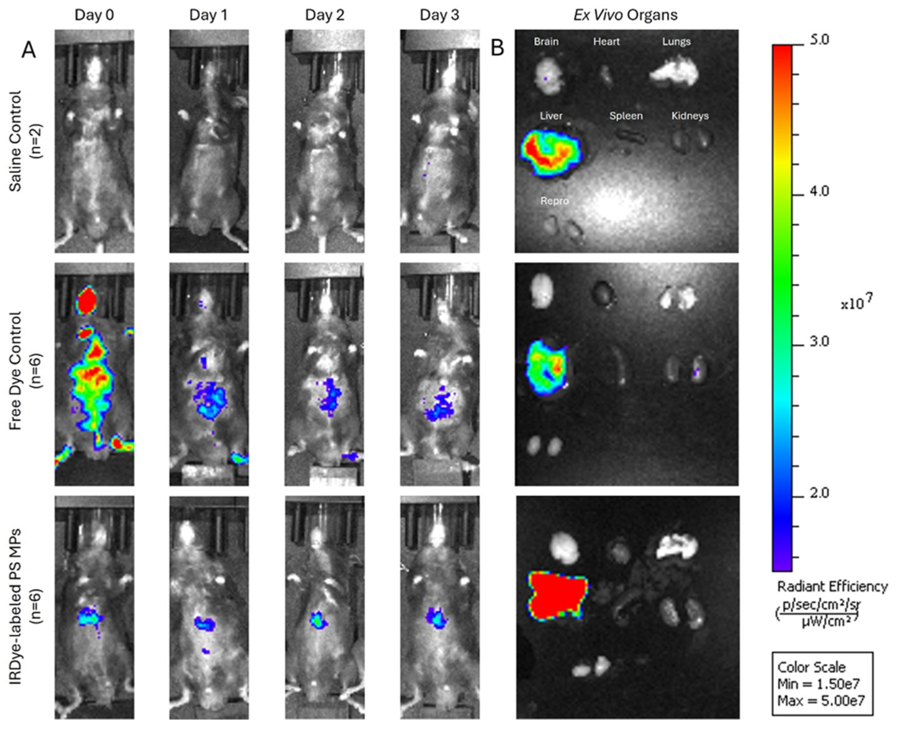 Preprints 178808 g007