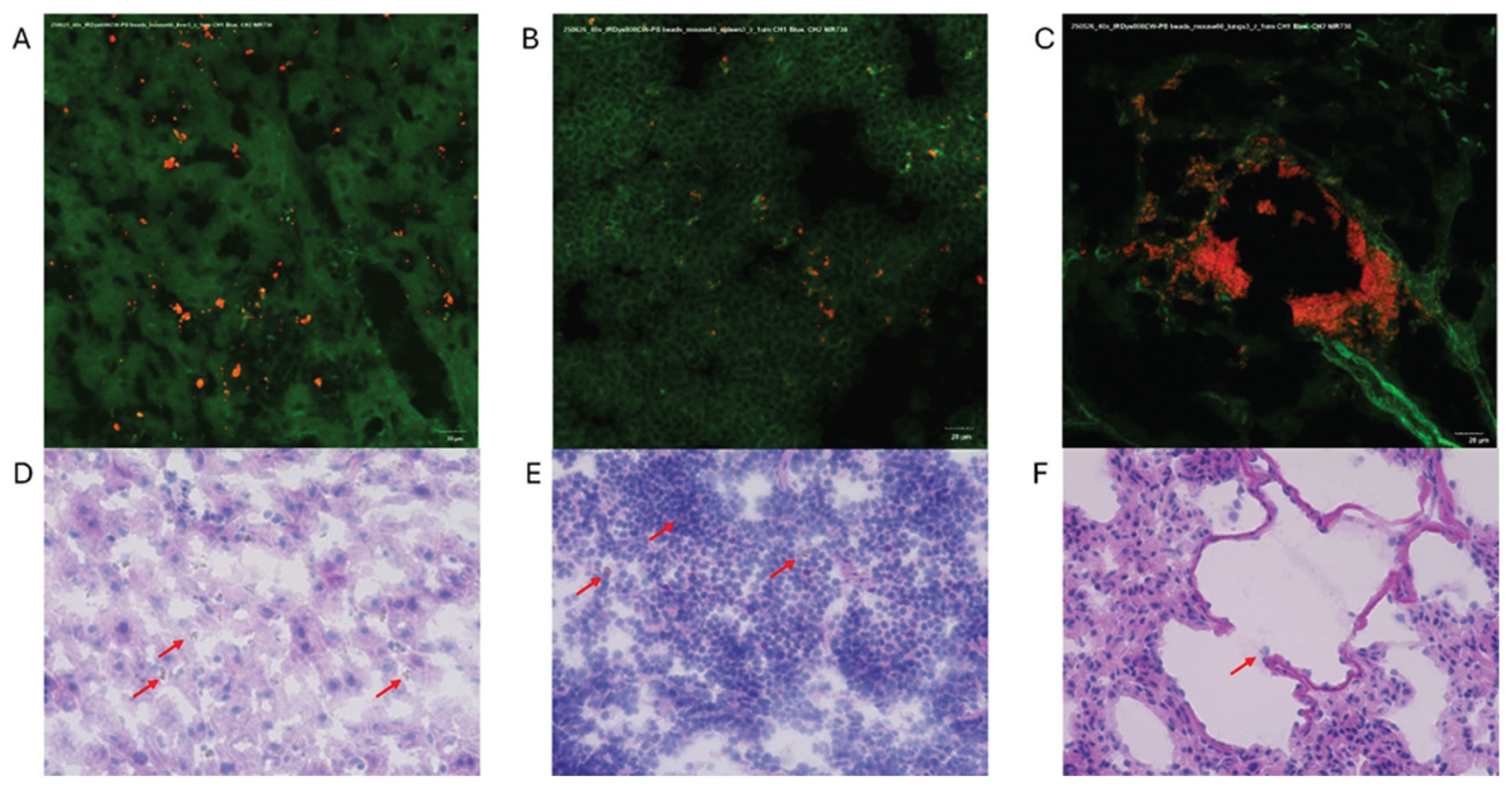 Preprints 178808 g009