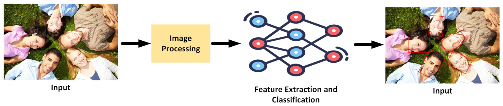 Preprints 230959 g007 Preprints 230959 g007