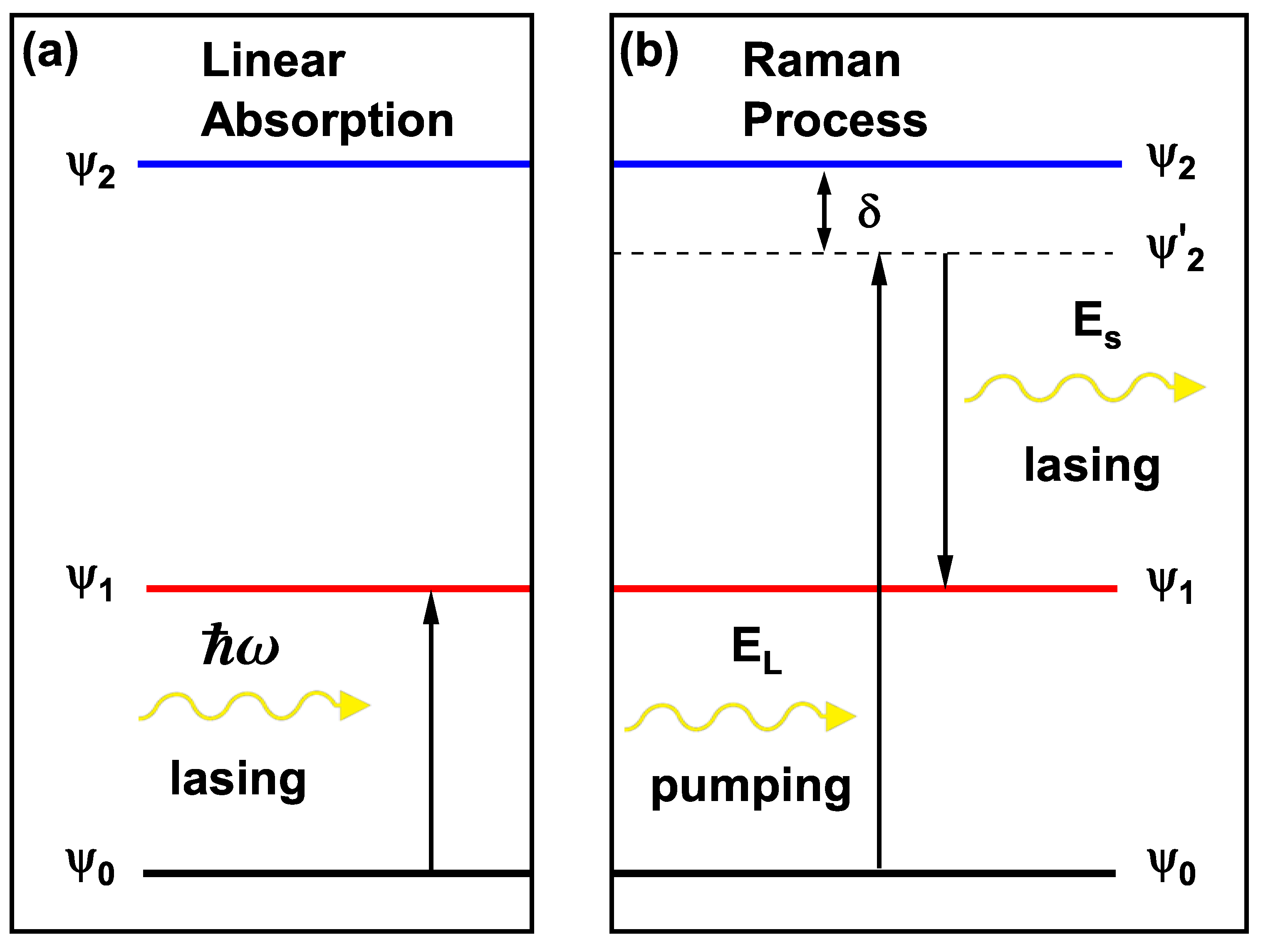Preprints 196510 g002
