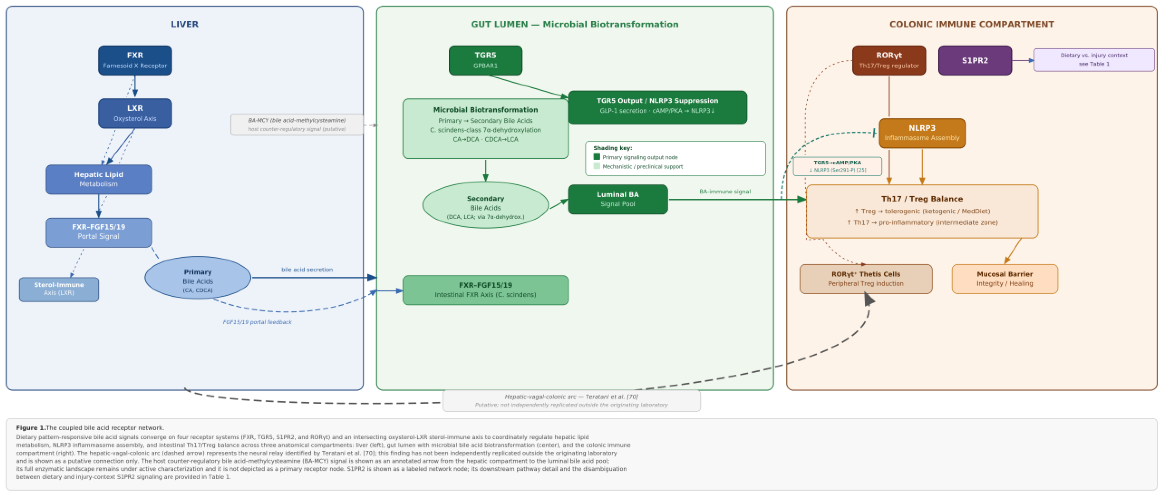 Preprints 207943 g001