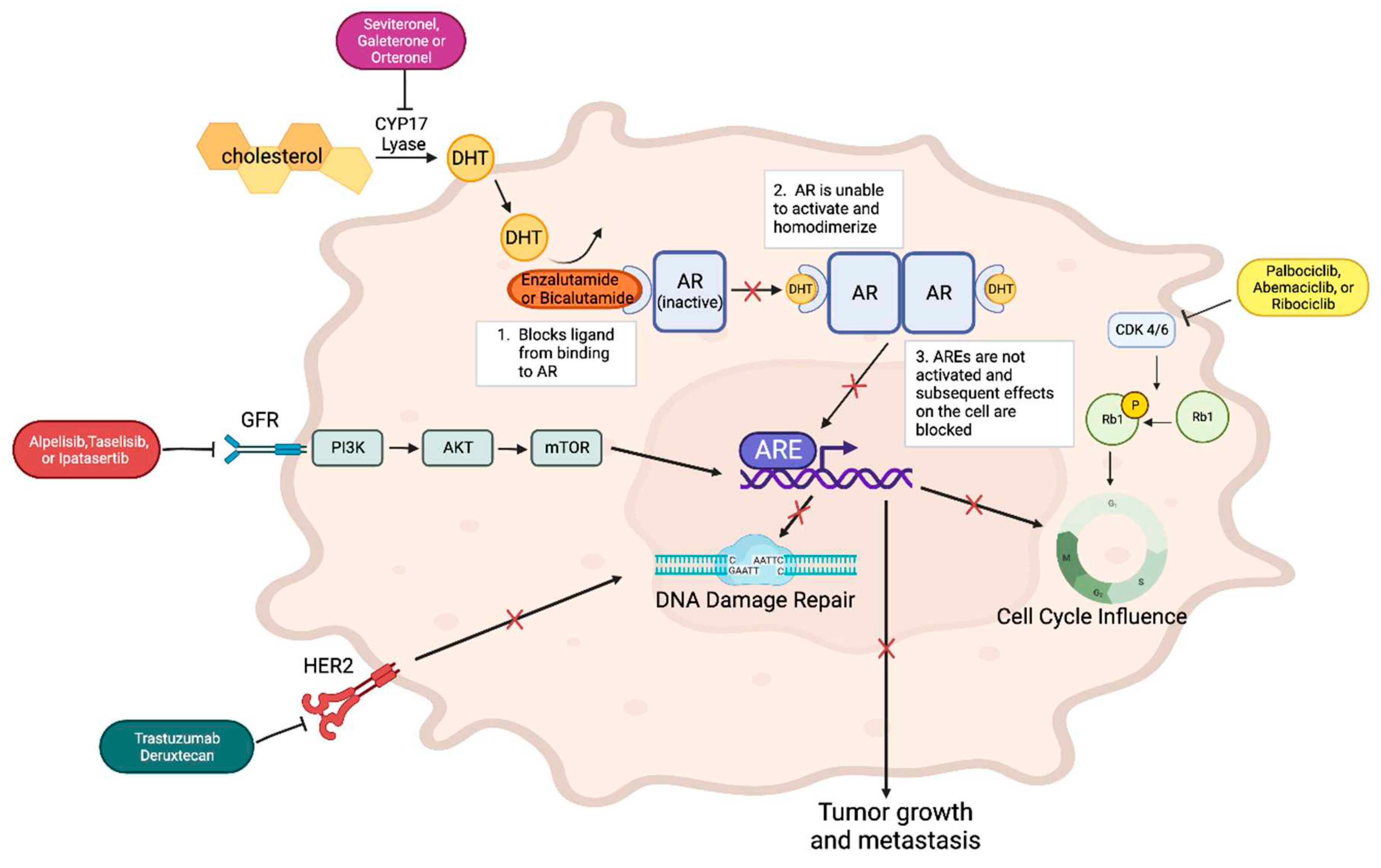 Preprints 88462 g001