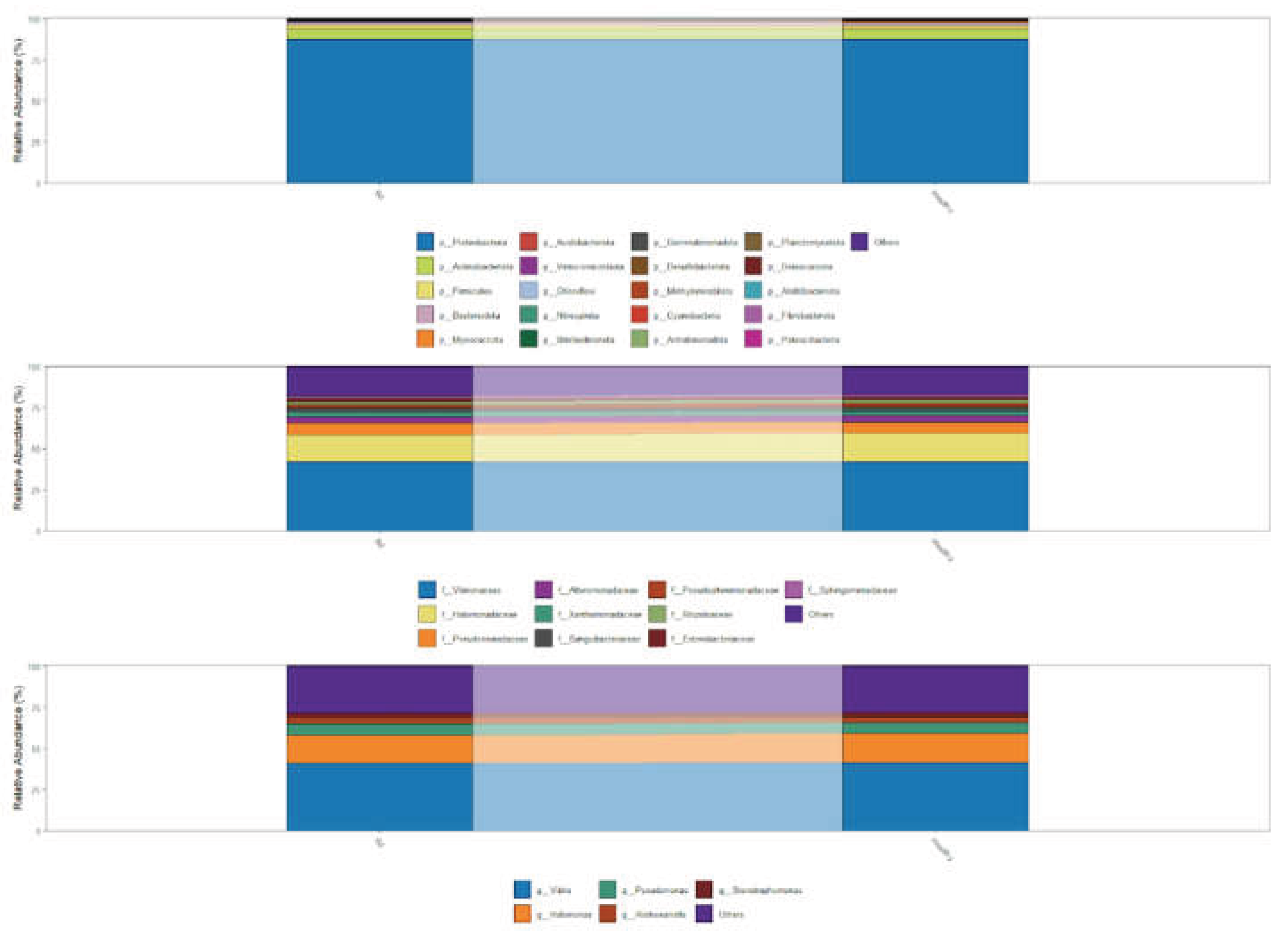 Preprints 194011 g001