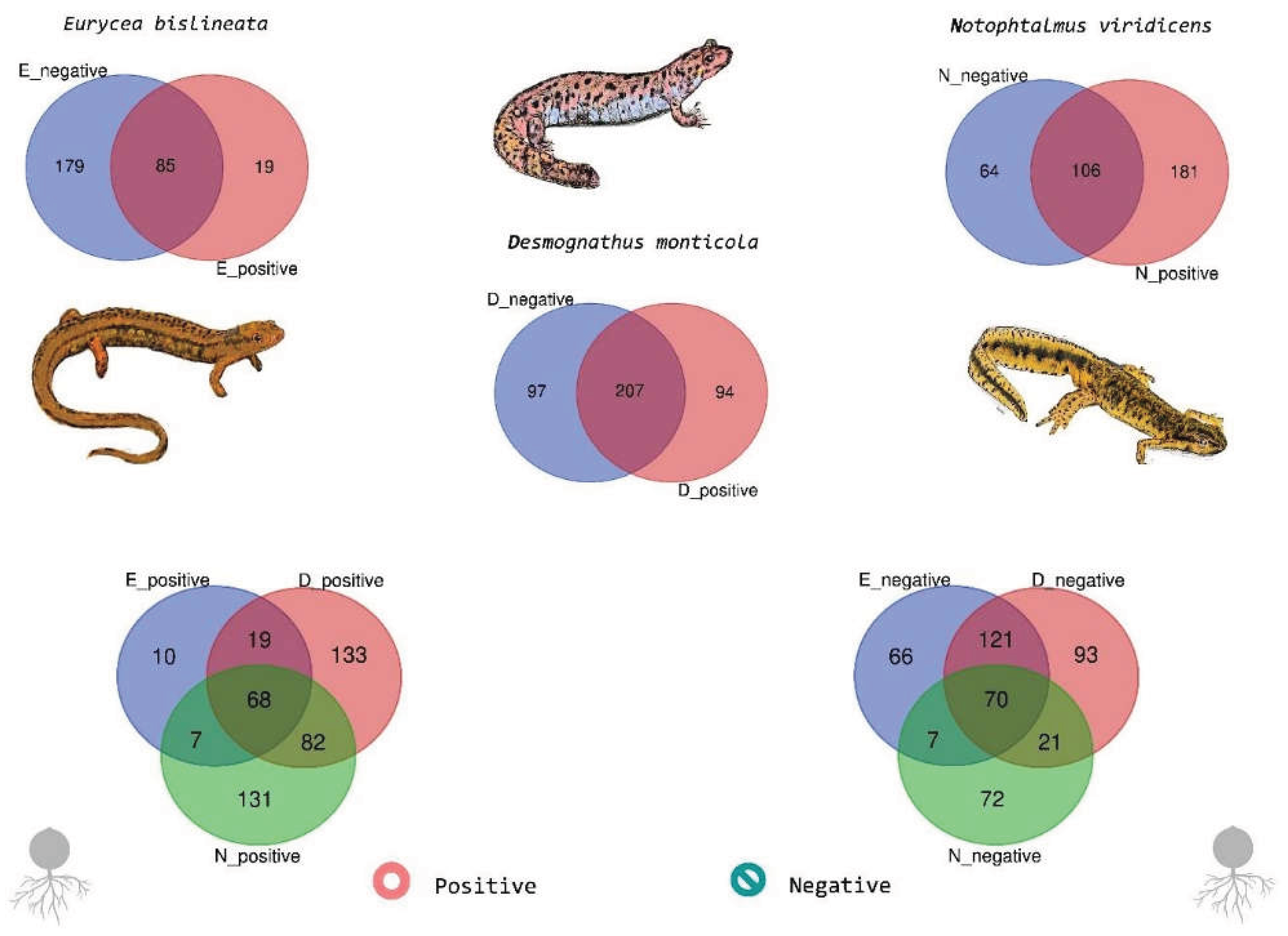 Preprints 194011 g005