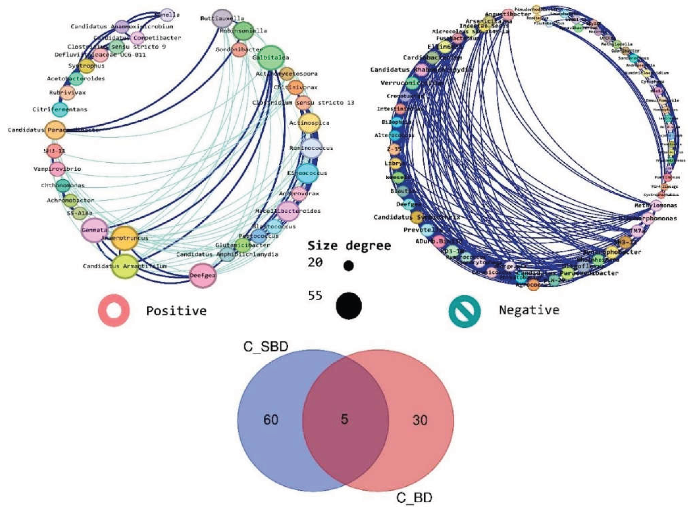 Preprints 194011 g008