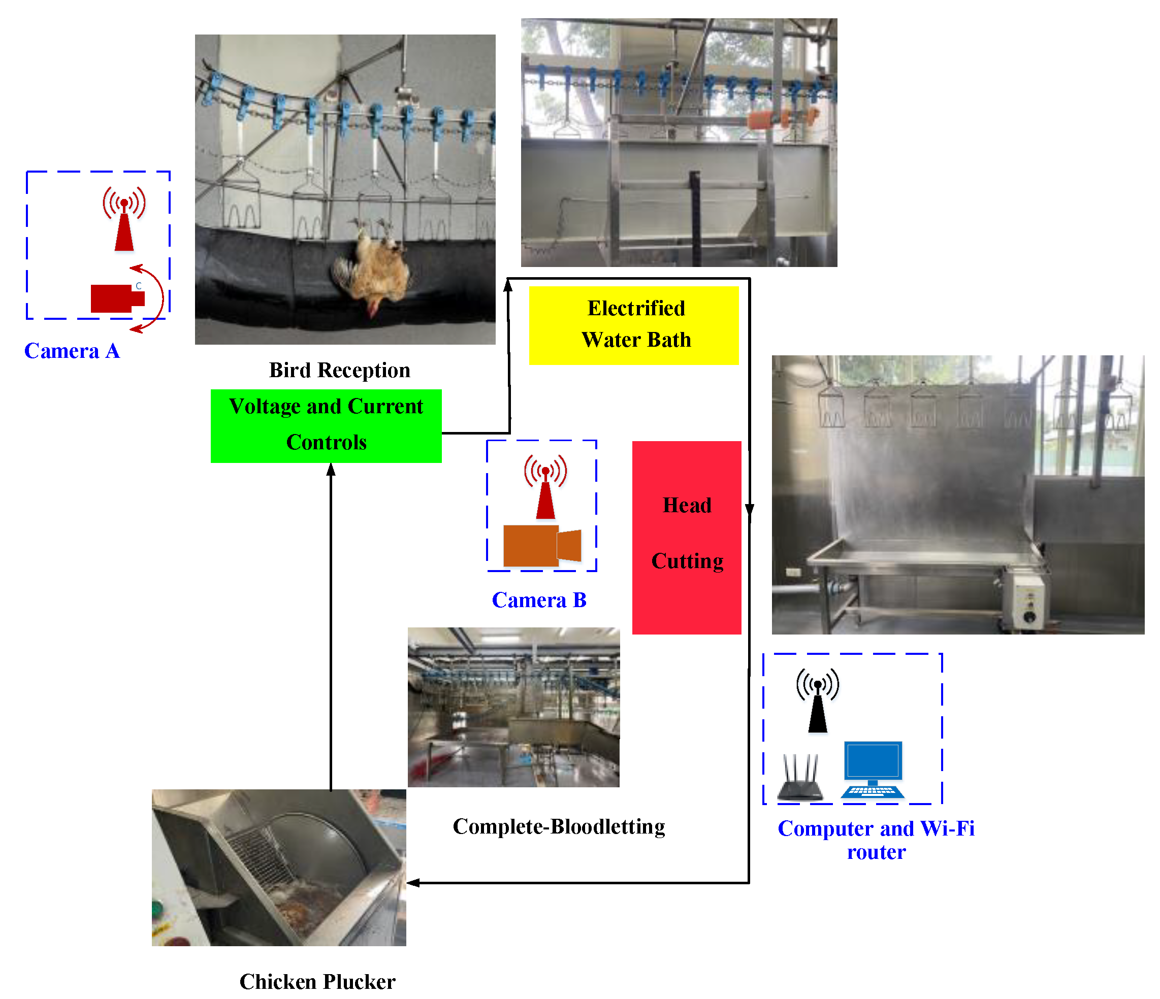 Preprints 165187 g001