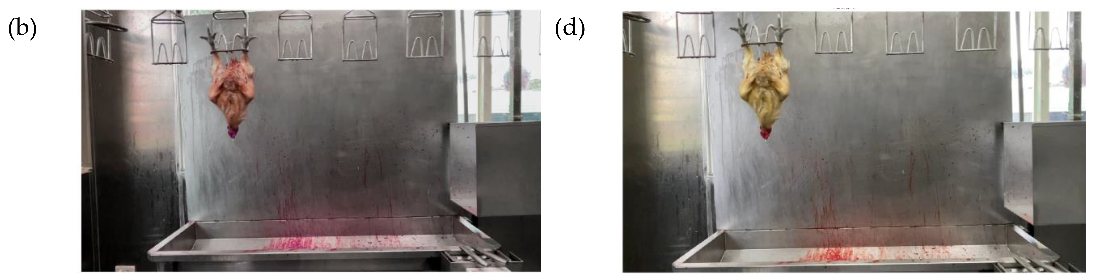 Preprints 165187 g005