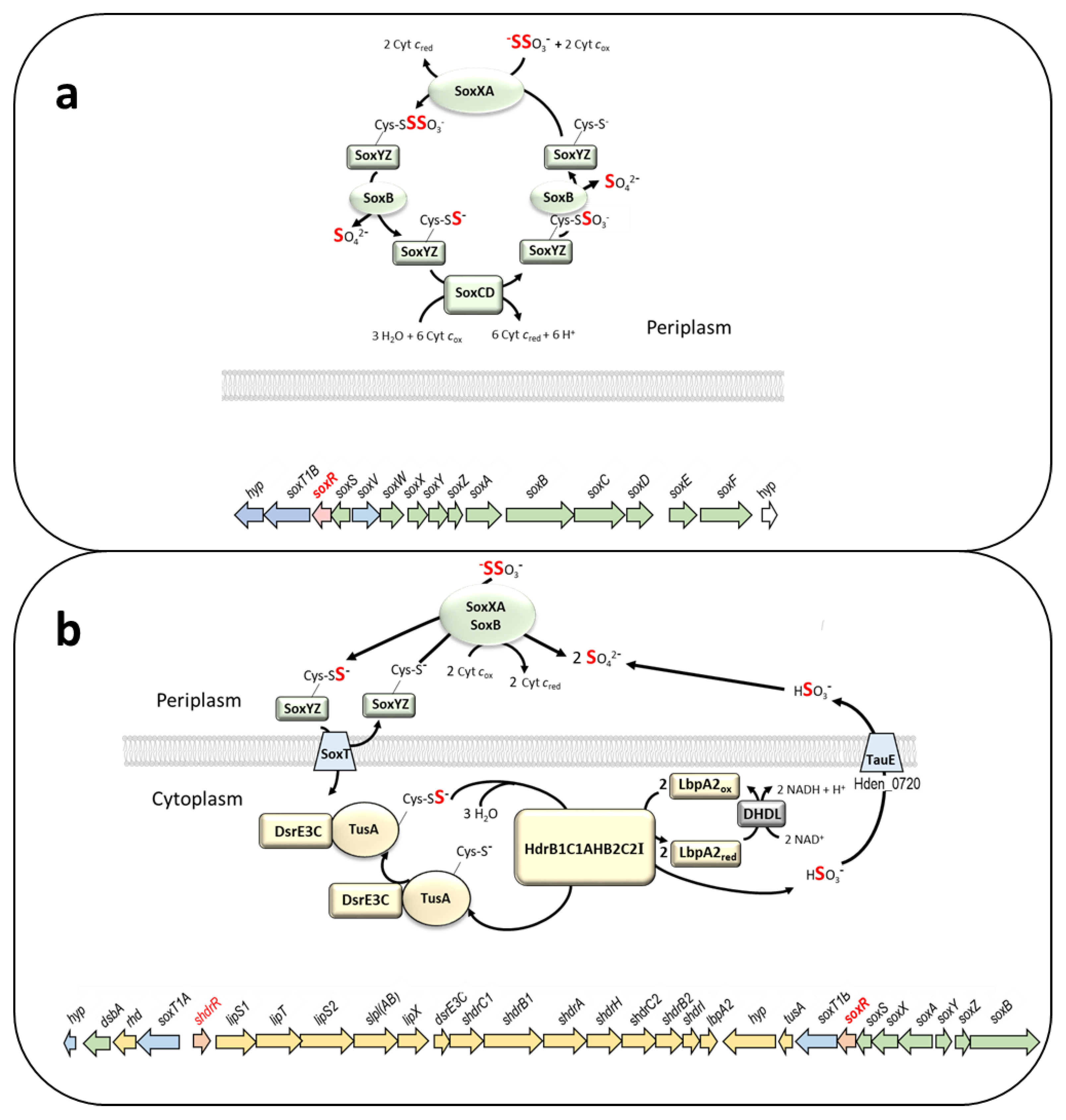 Preprints 79270 g001