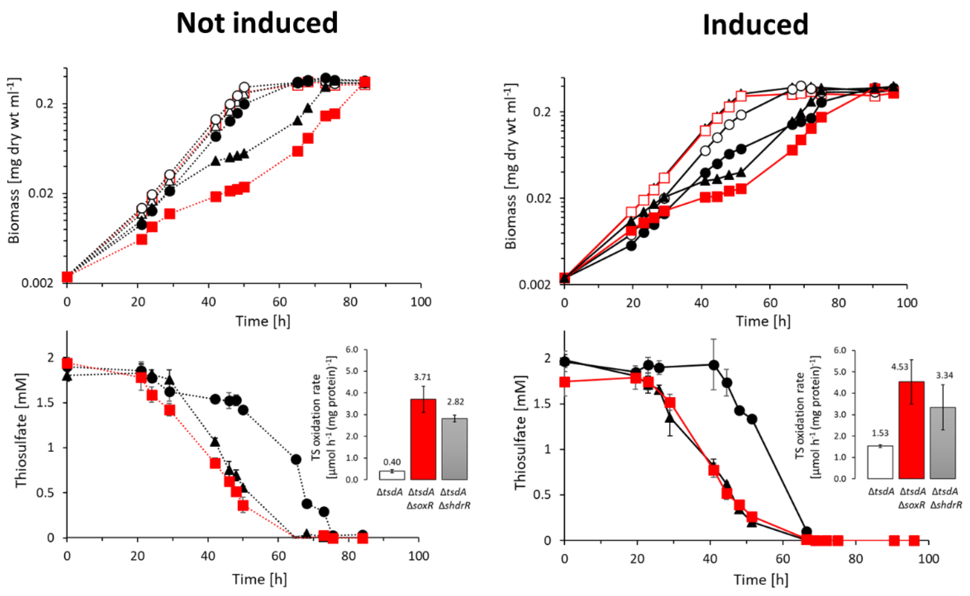 Preprints 79270 g003