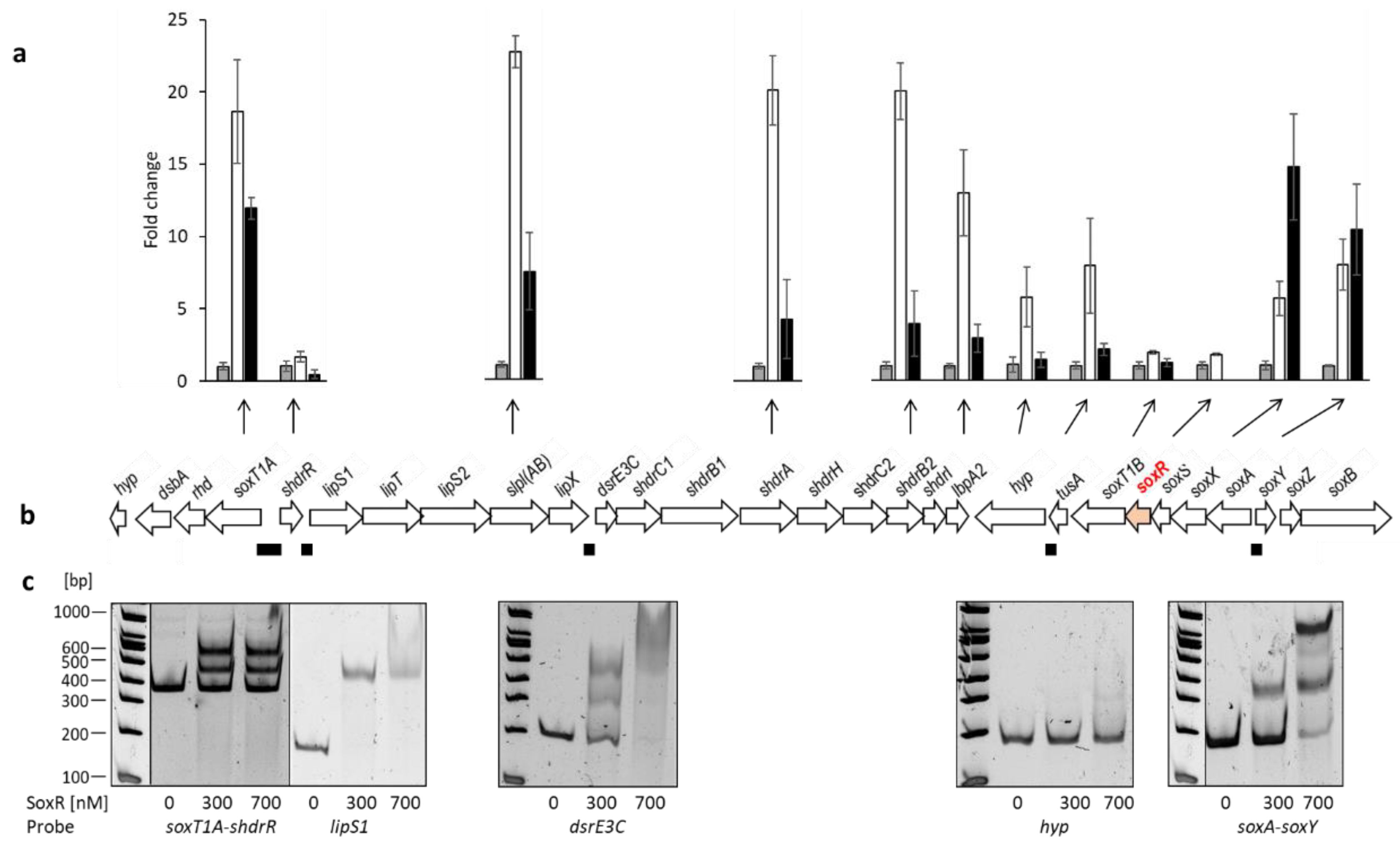 Preprints 79270 g004