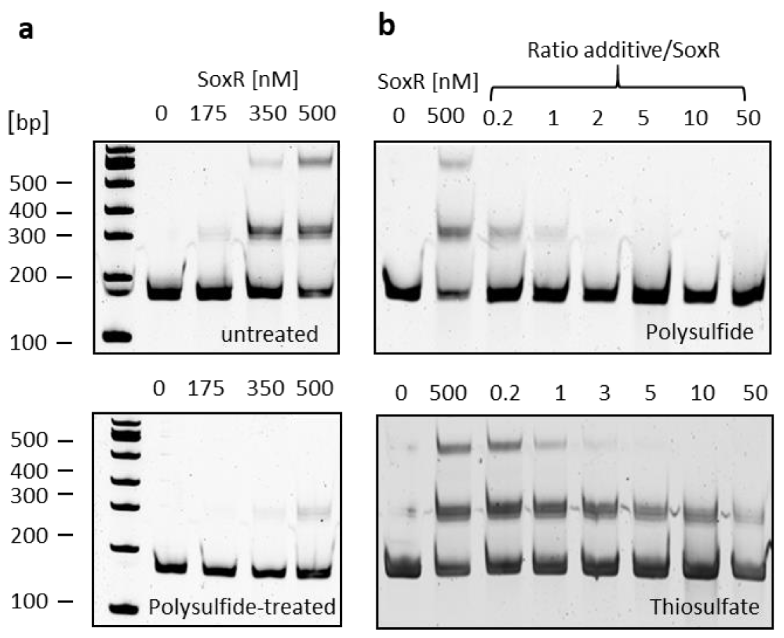 Preprints 79270 g007