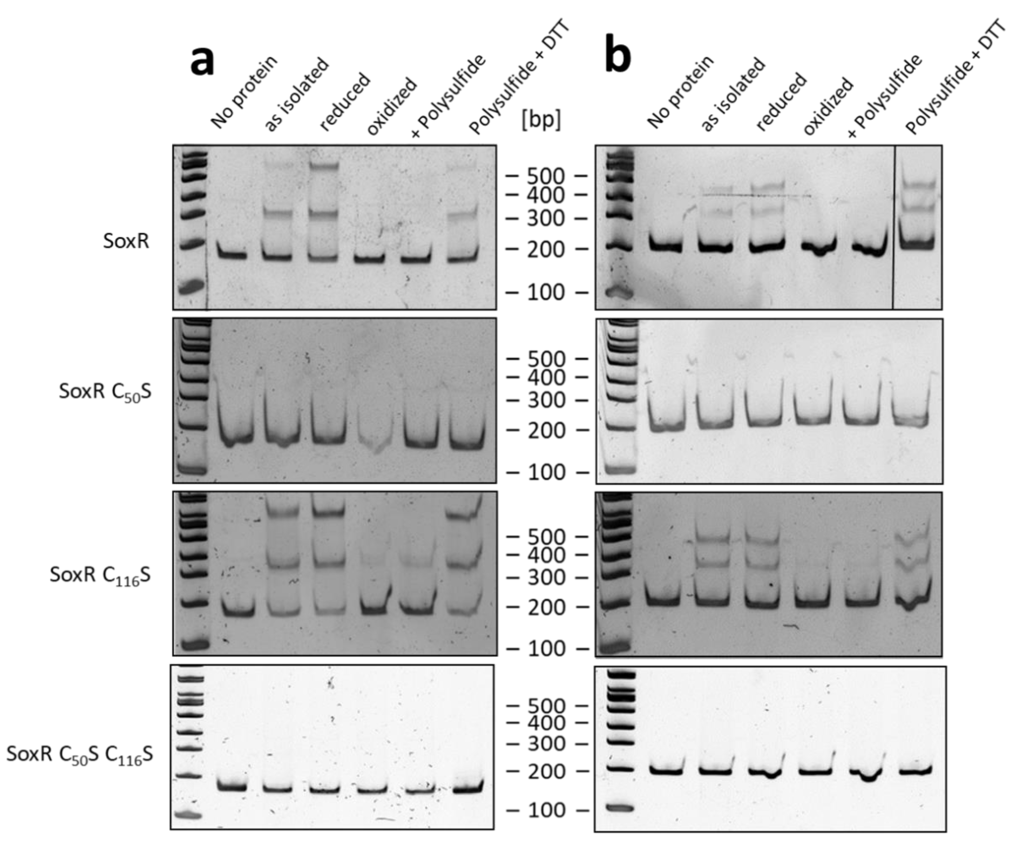 Preprints 79270 g008